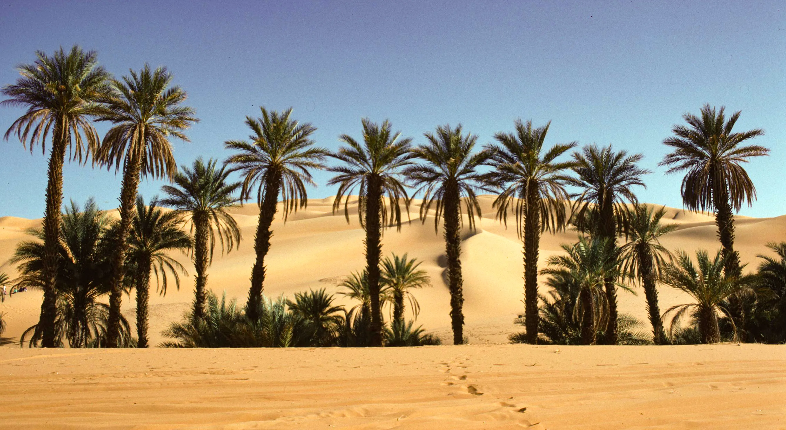Bivouac d'Oum el Ma