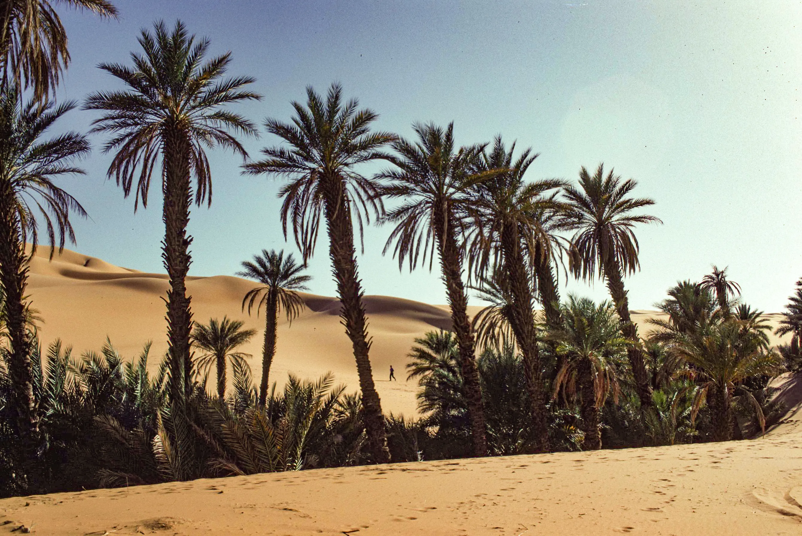 Bivouac d'Oum el Ma