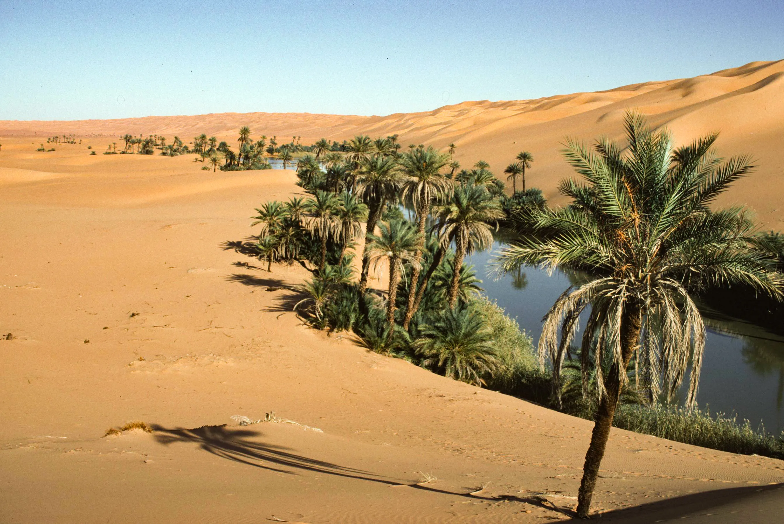 Bivouac d'Oum el Ma