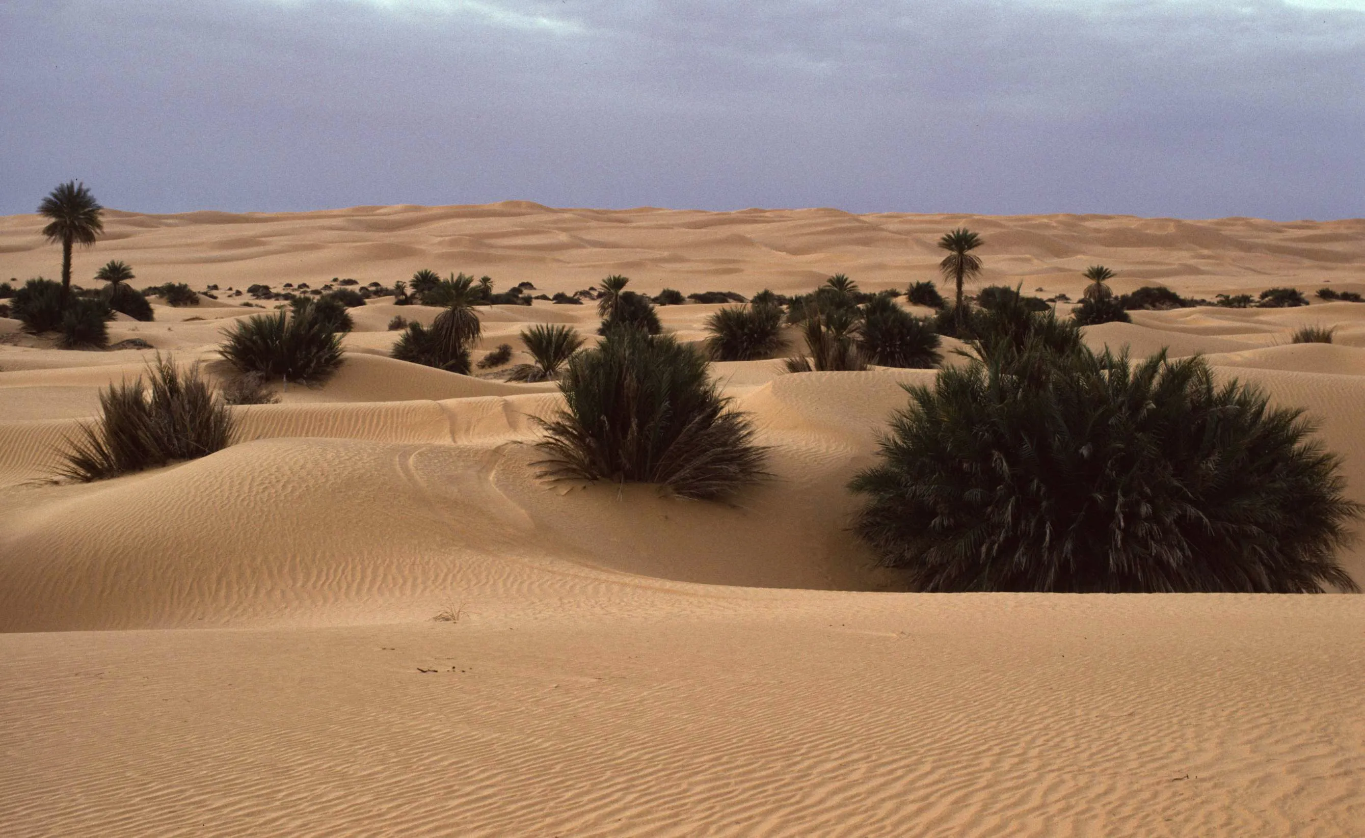 Bivouac d'Oum el Ma