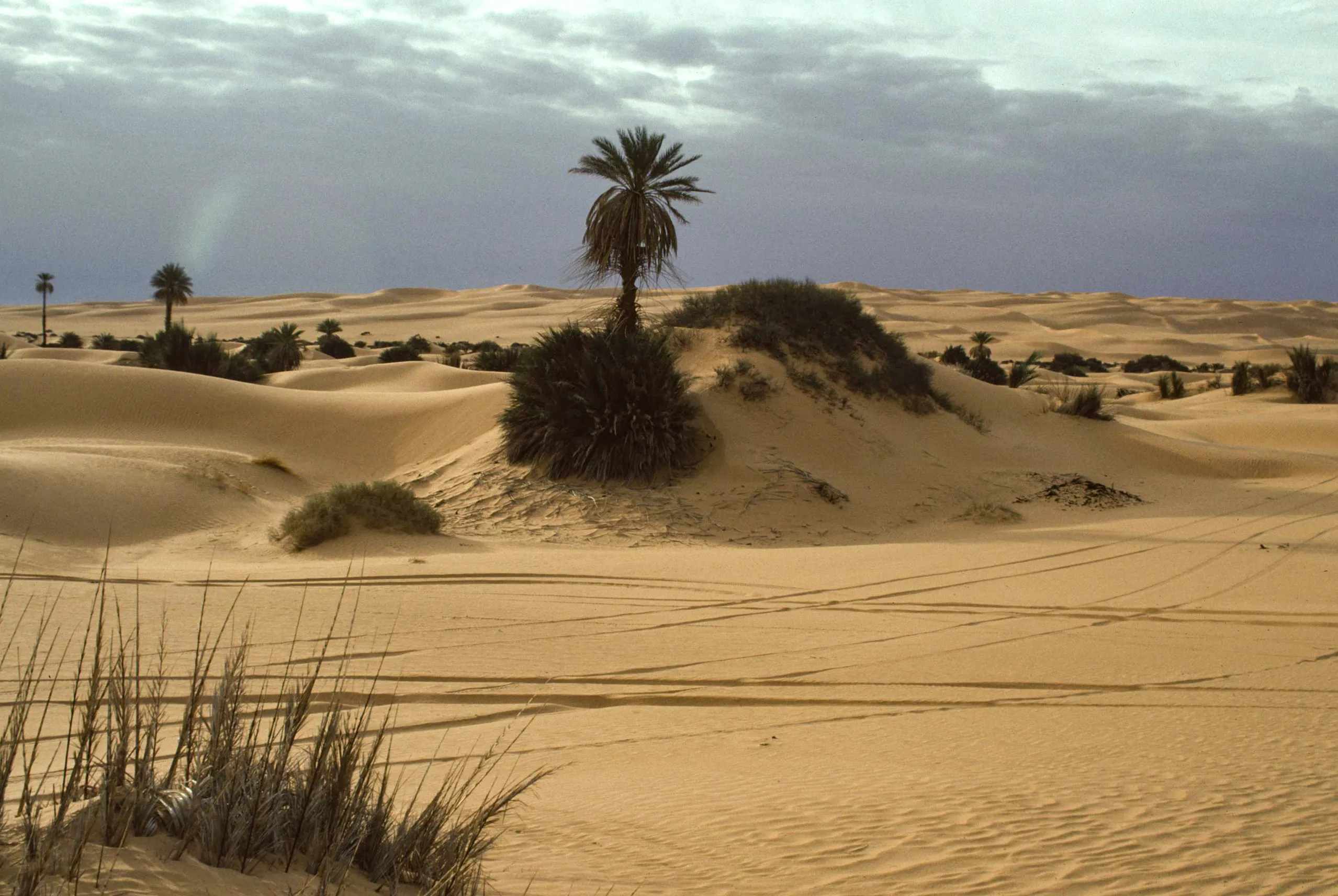Bivouac d'Oum el Ma