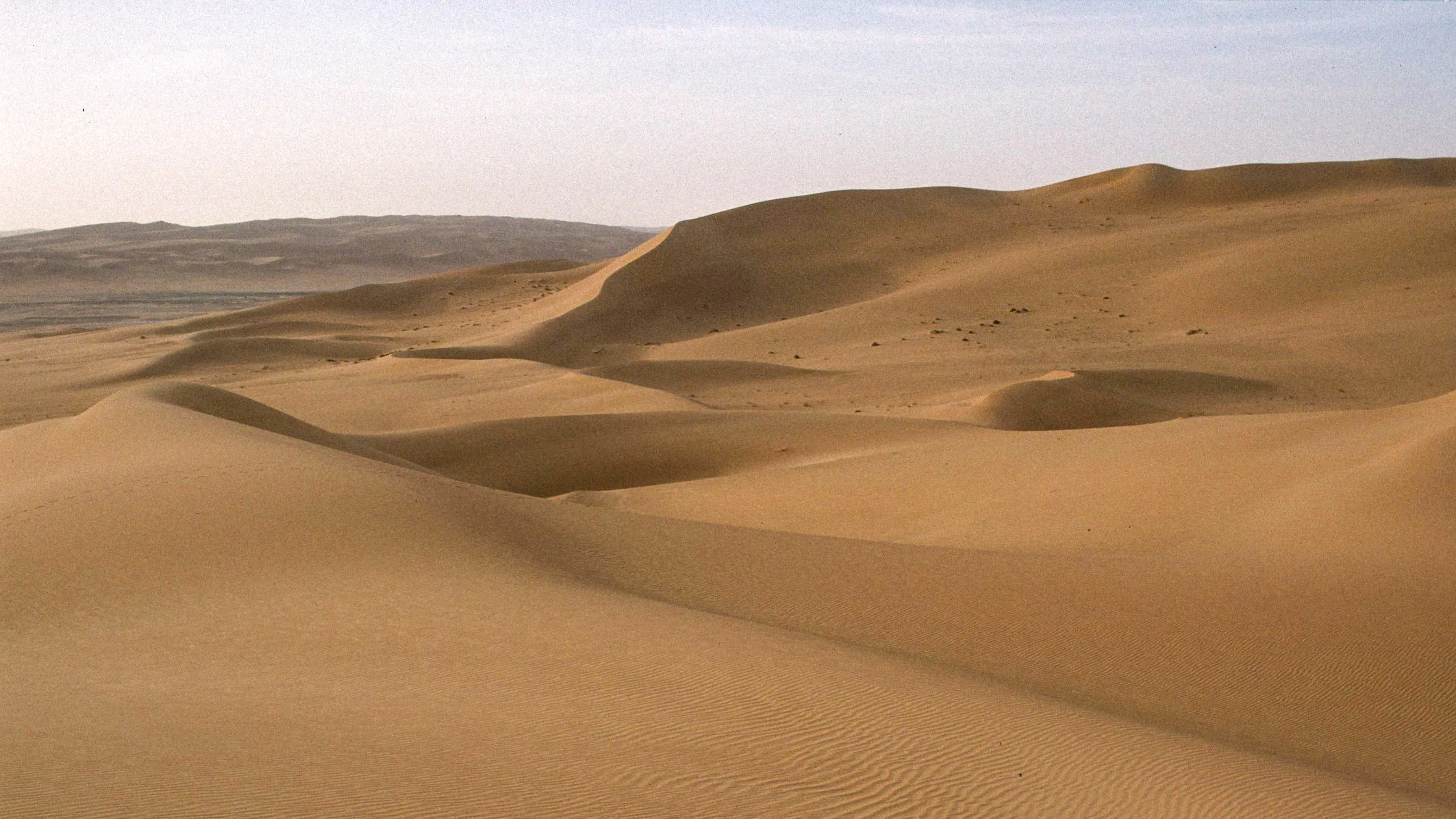 le gassi des rescapés de l'oasis de Denis