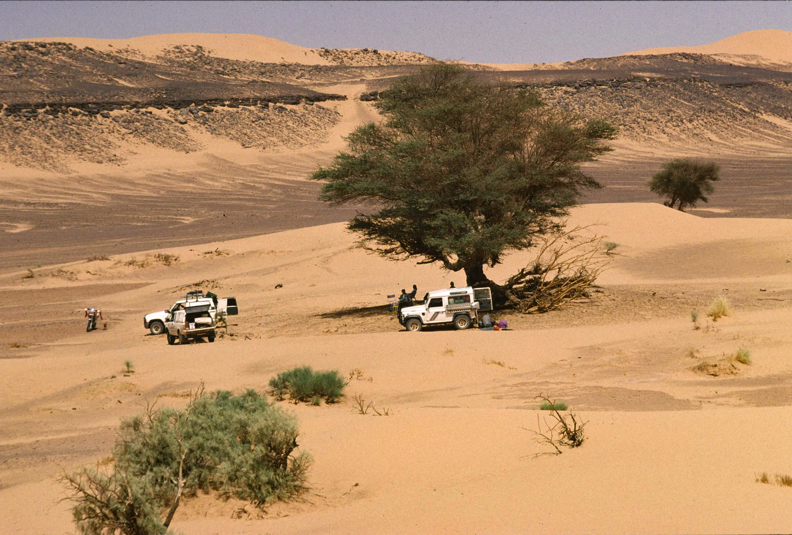 le gassi des rescapés de l'oasis de Denis