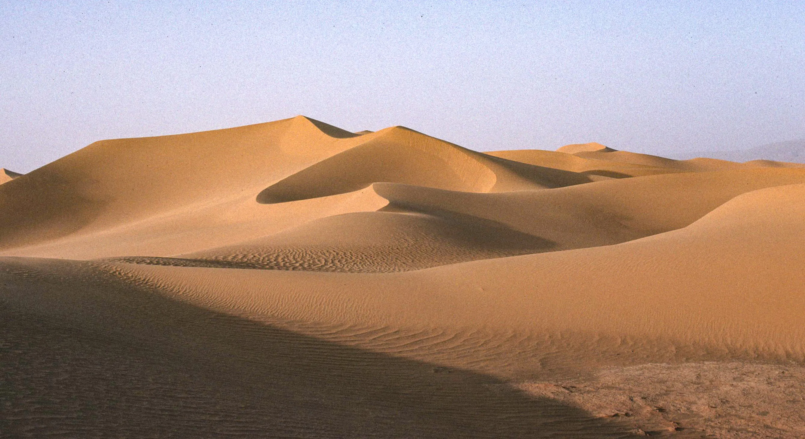 le gassi des rescapés de l'oasis de Denis