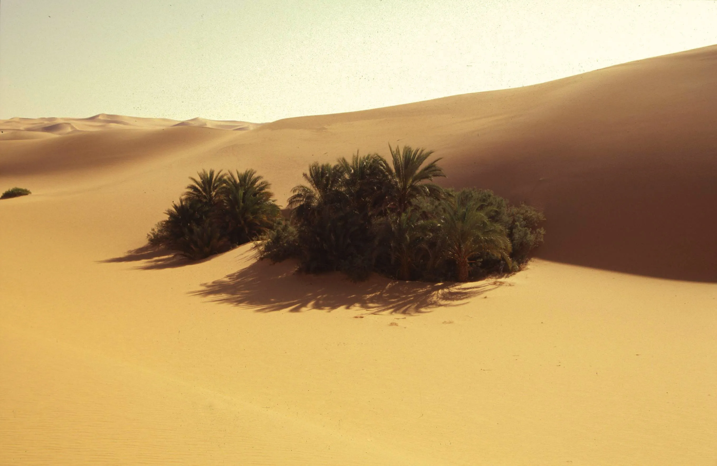 Slider Image 40