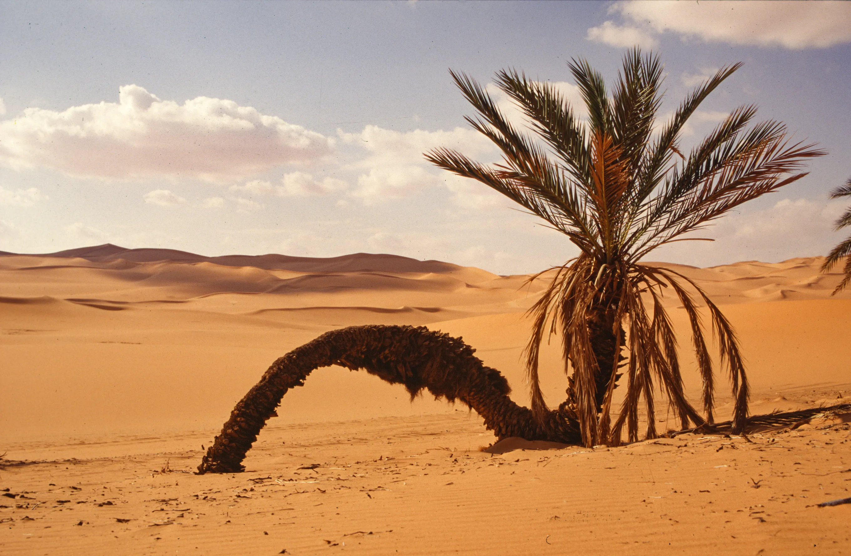 Slider Image 35