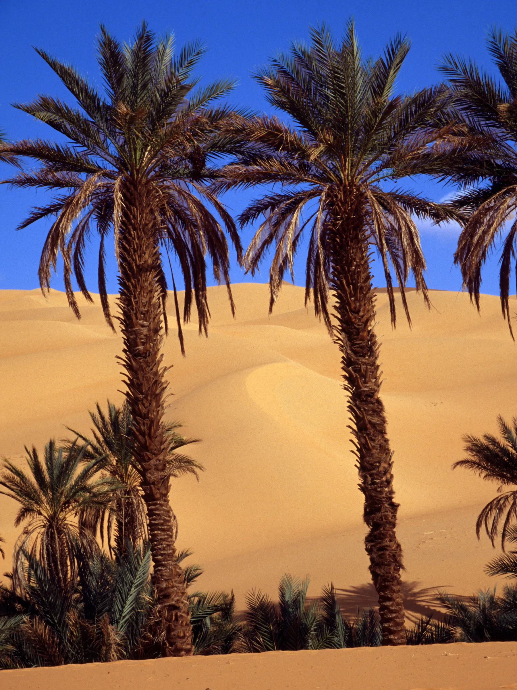 Slider Image 34