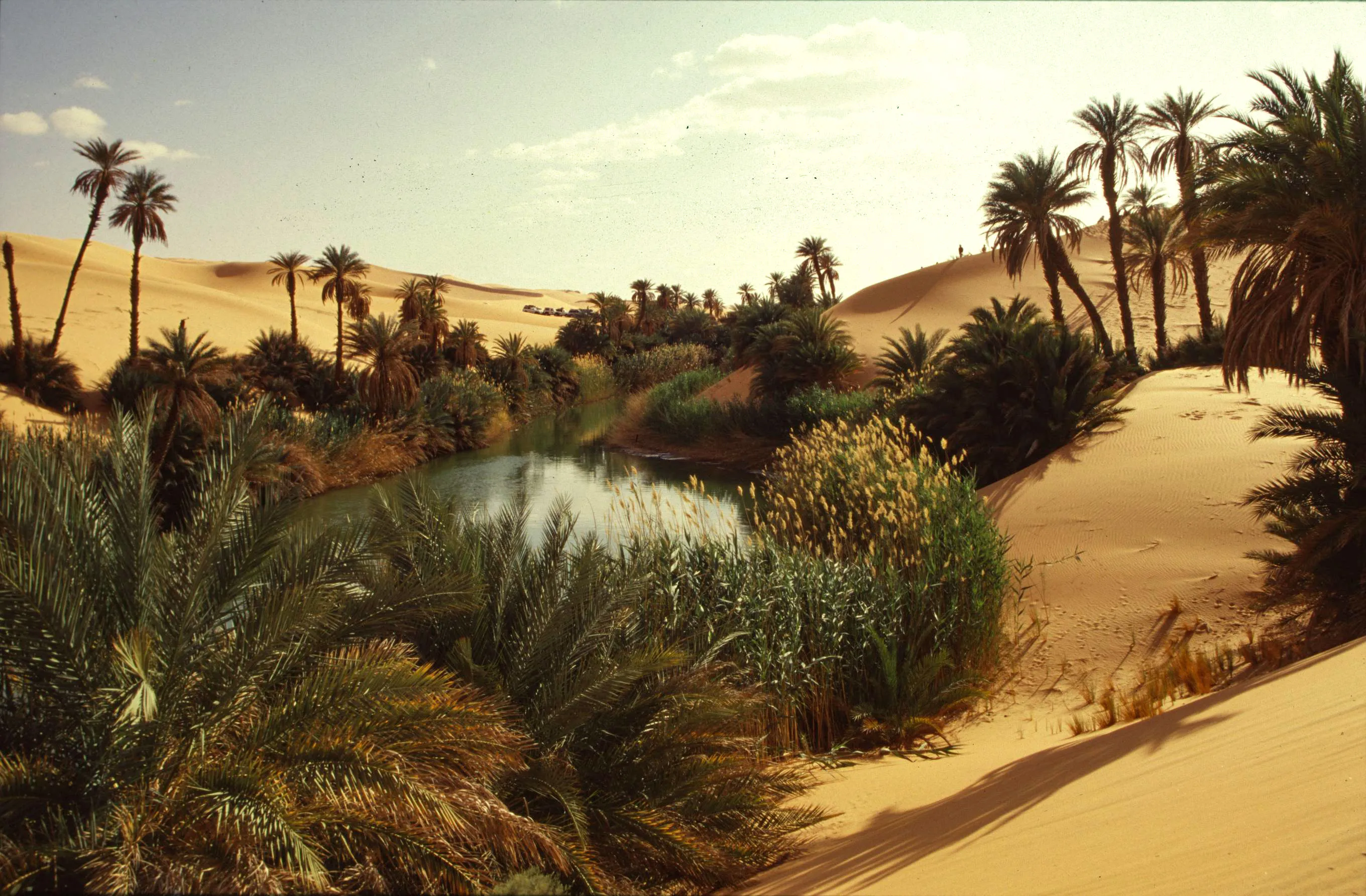 Slider Image 33