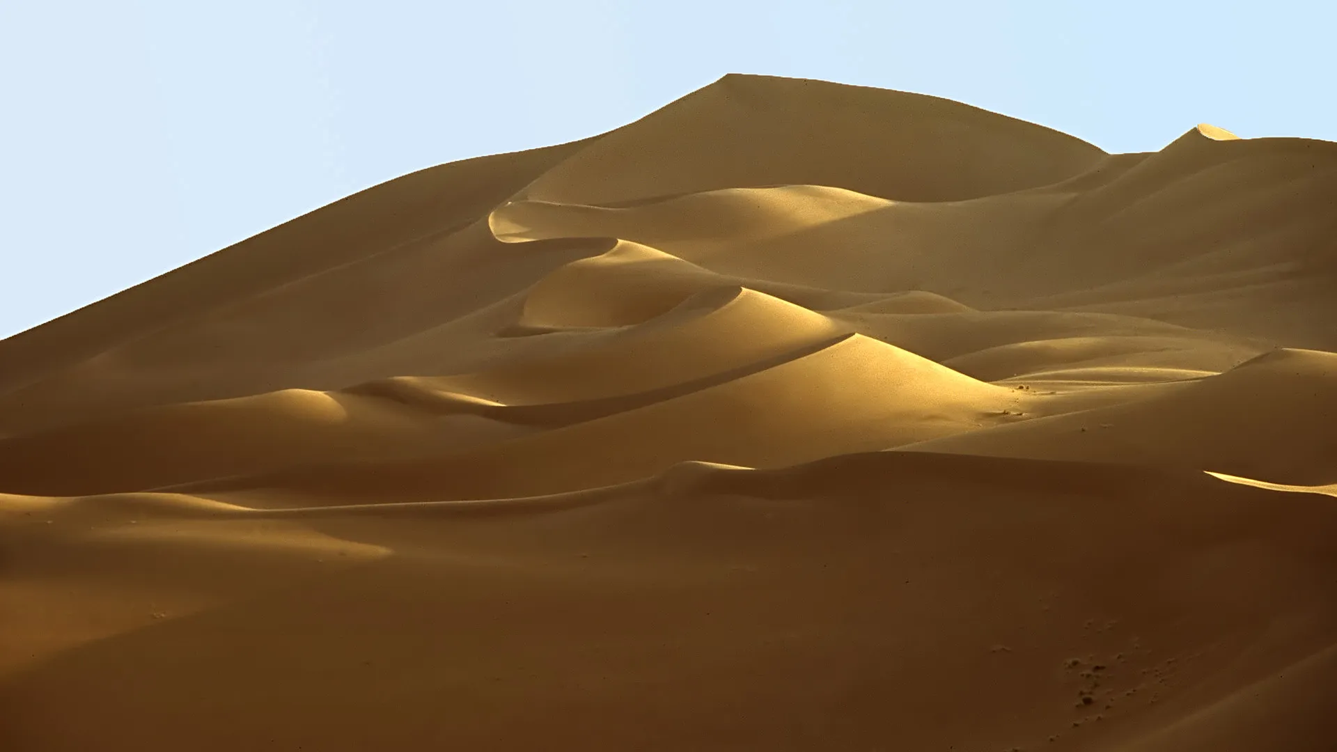 Slider Image 31