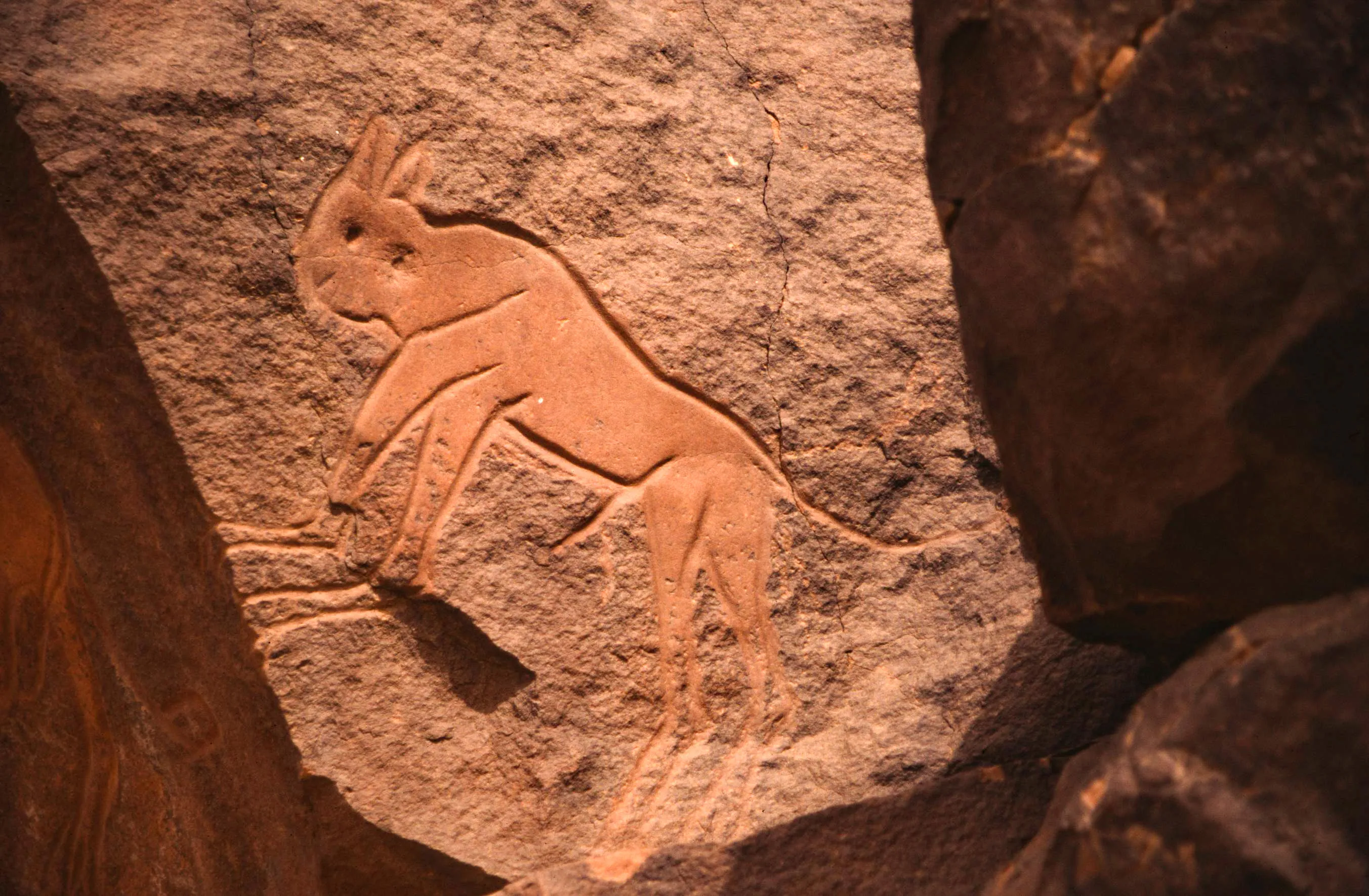 Slider Image 27