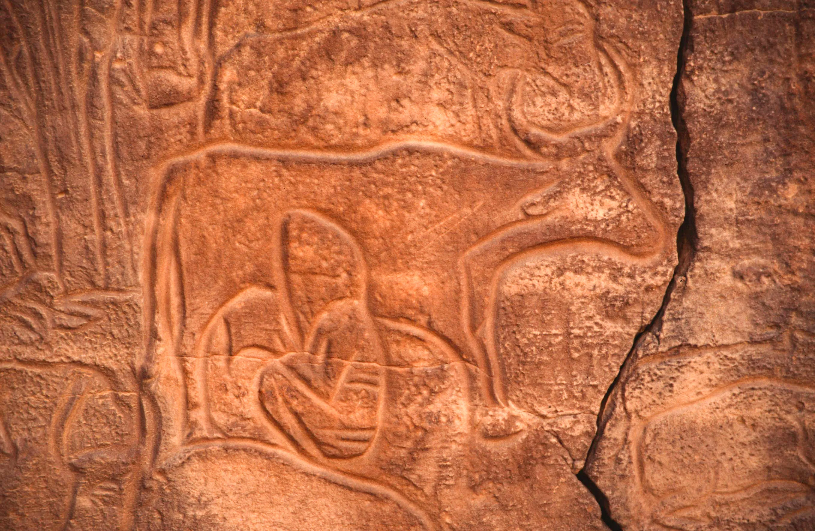 Slider Image 26