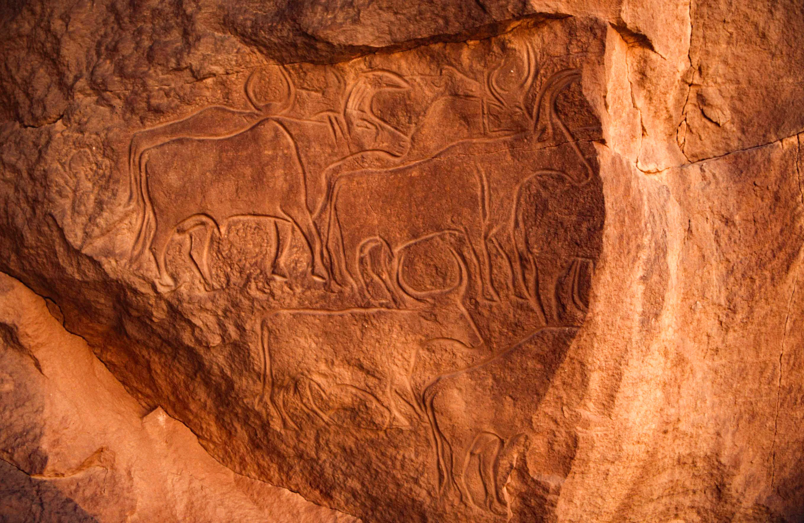 Slider Image 25