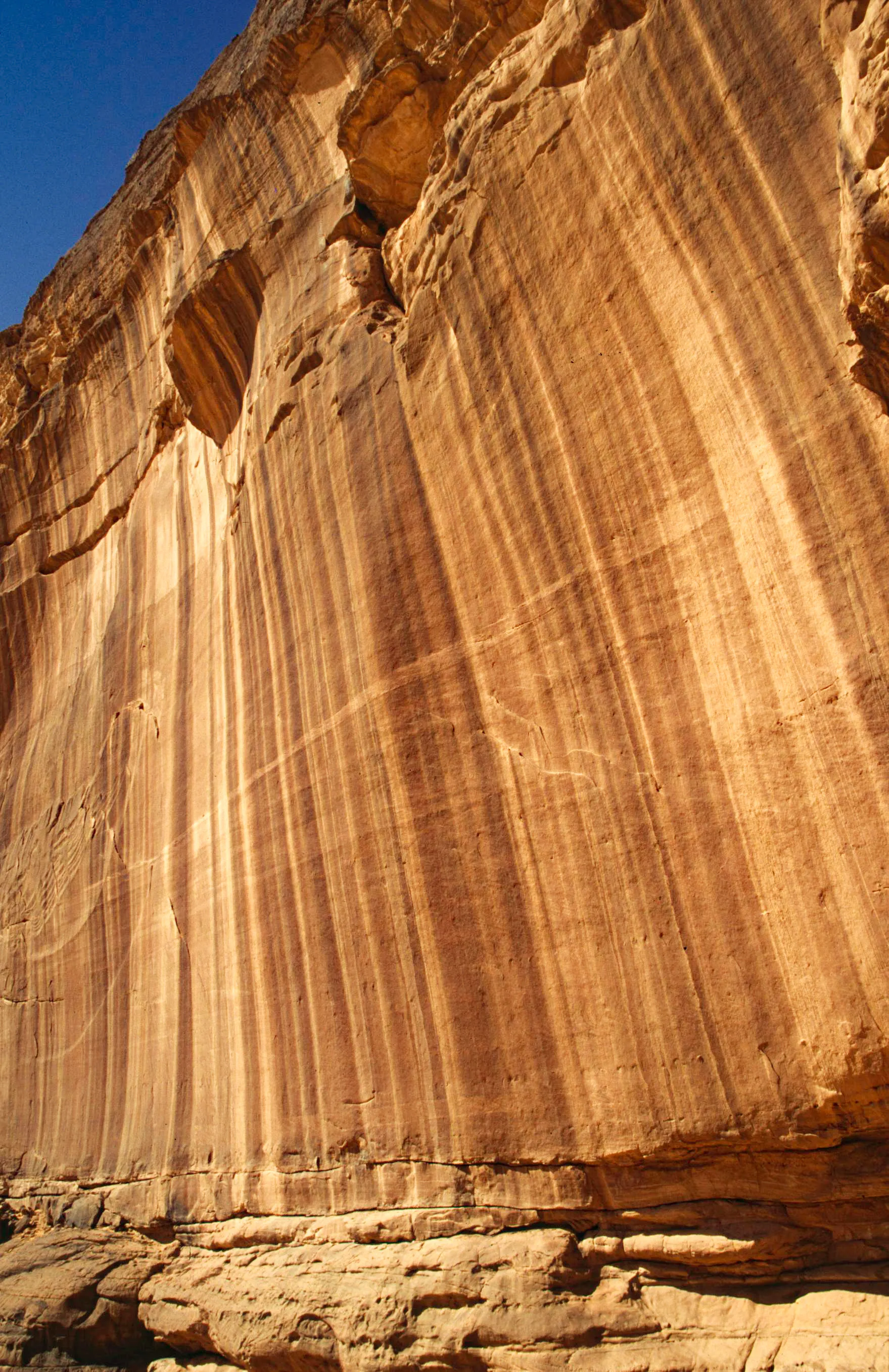 Slider Image 13