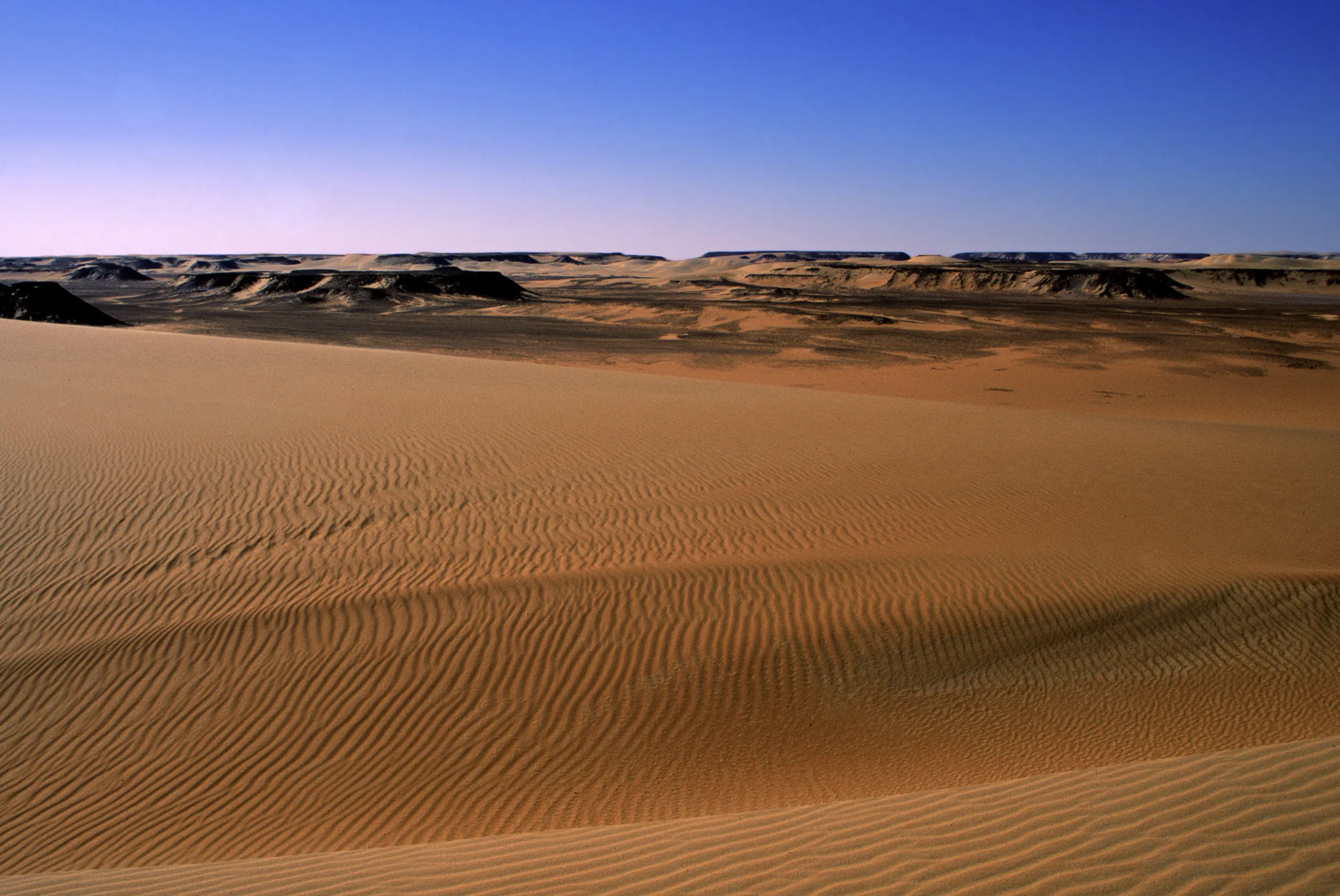 Slider Image 143