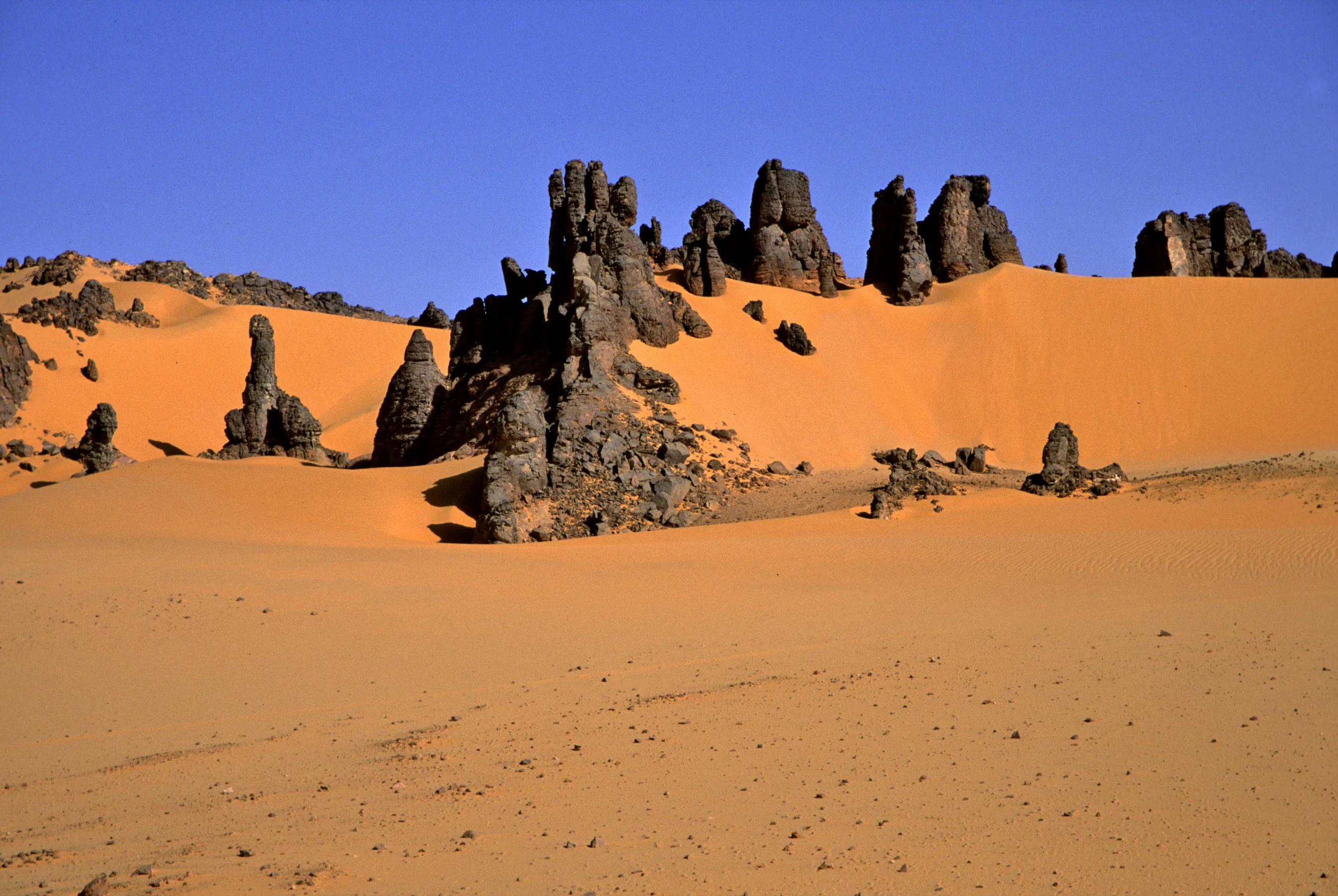 Slider Image 135
