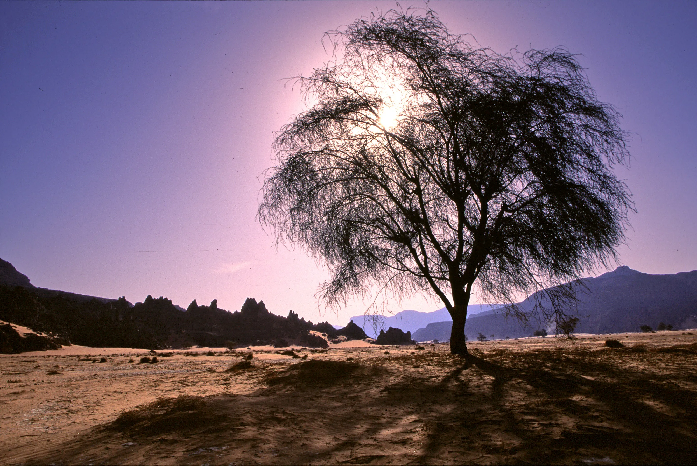 Slider Image 124