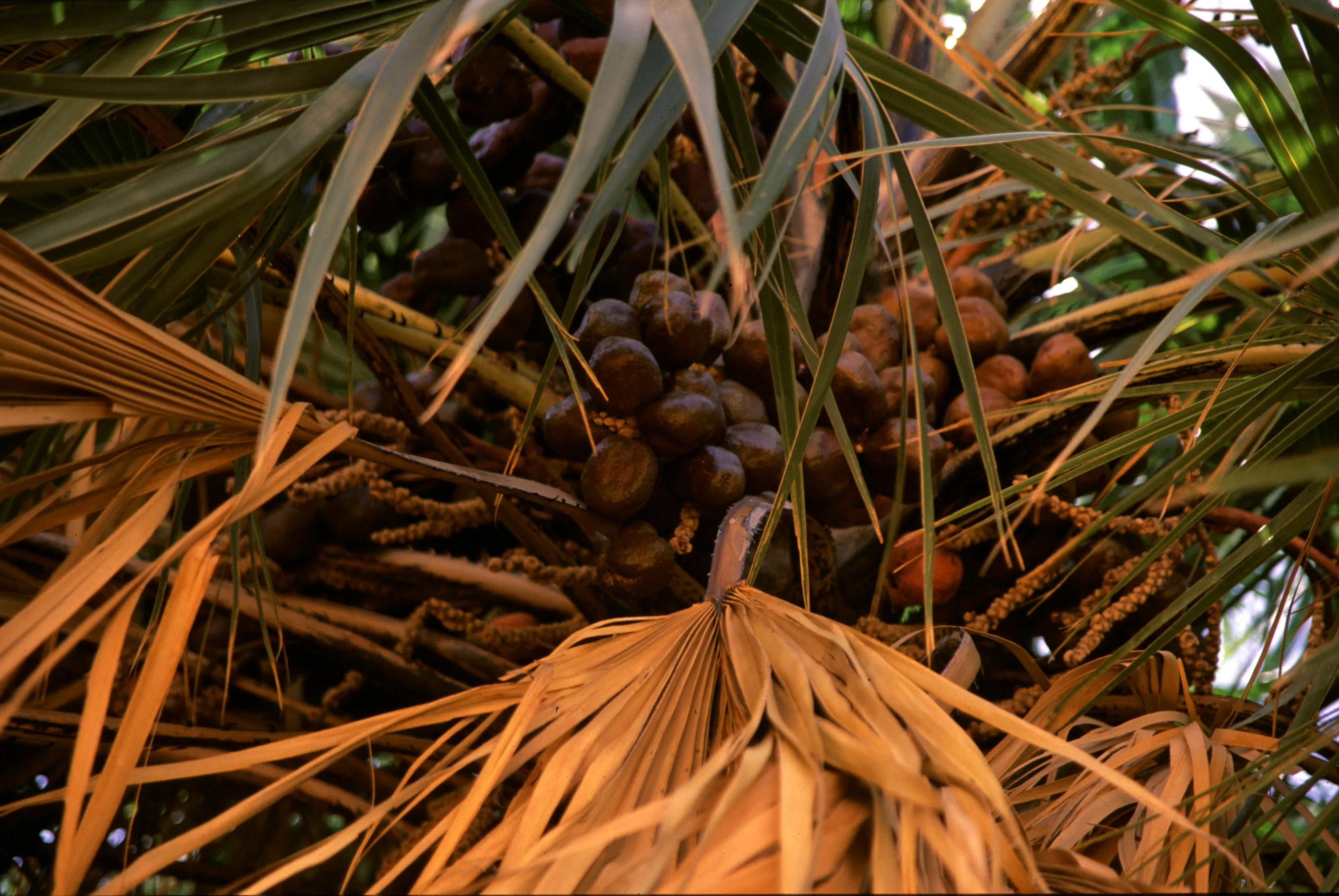 Slider Image 108