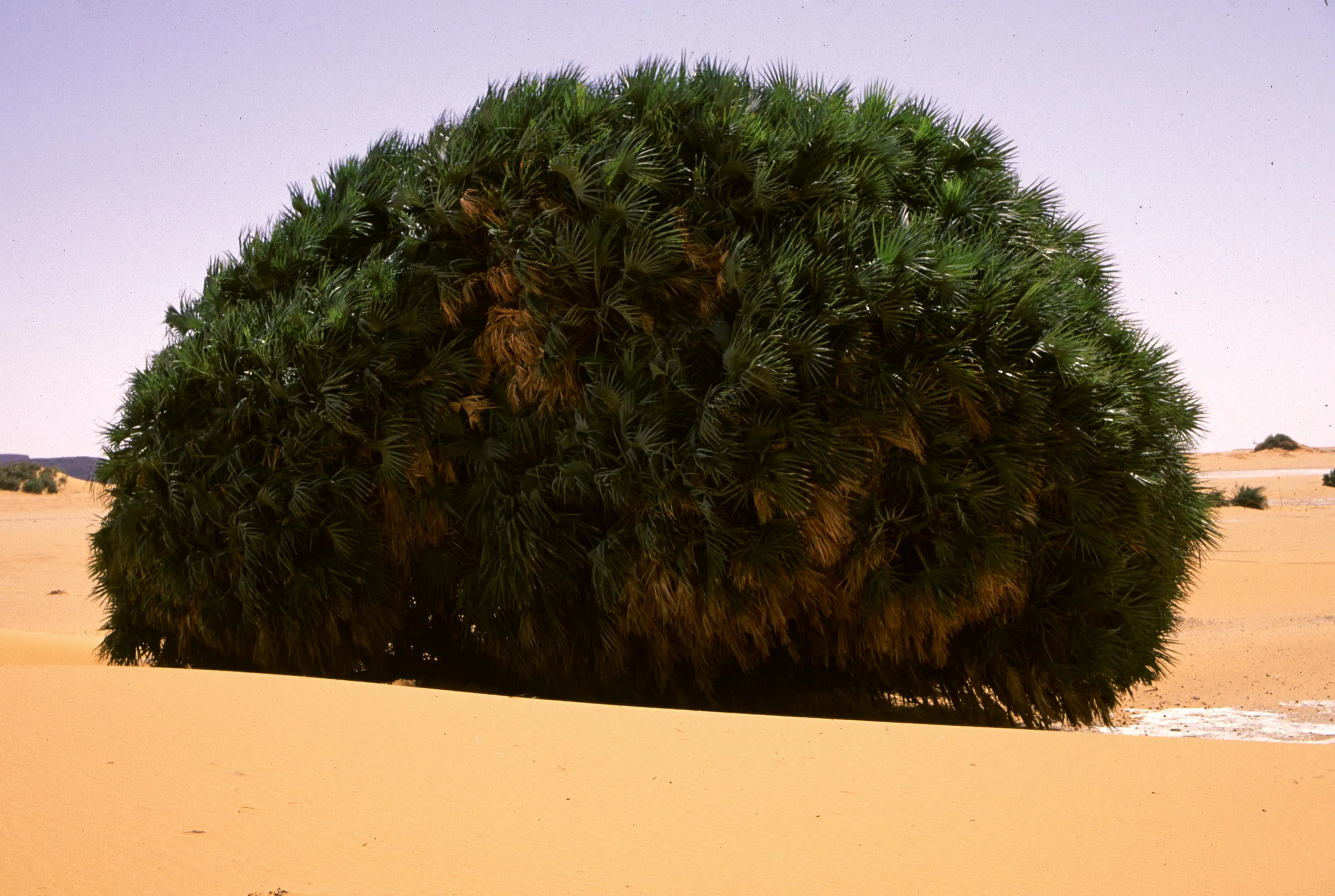 Slider Image 107