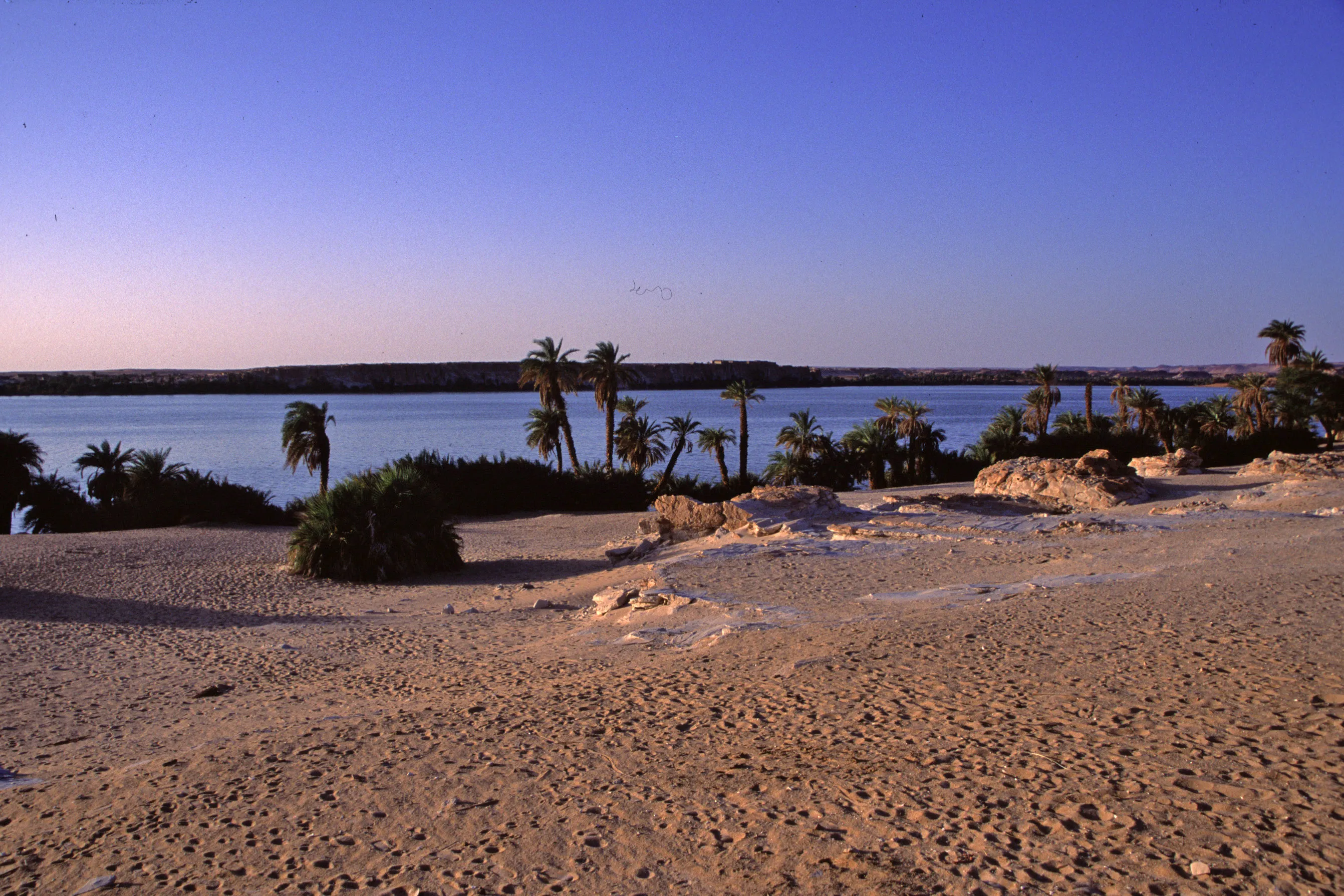 Slider Image 97