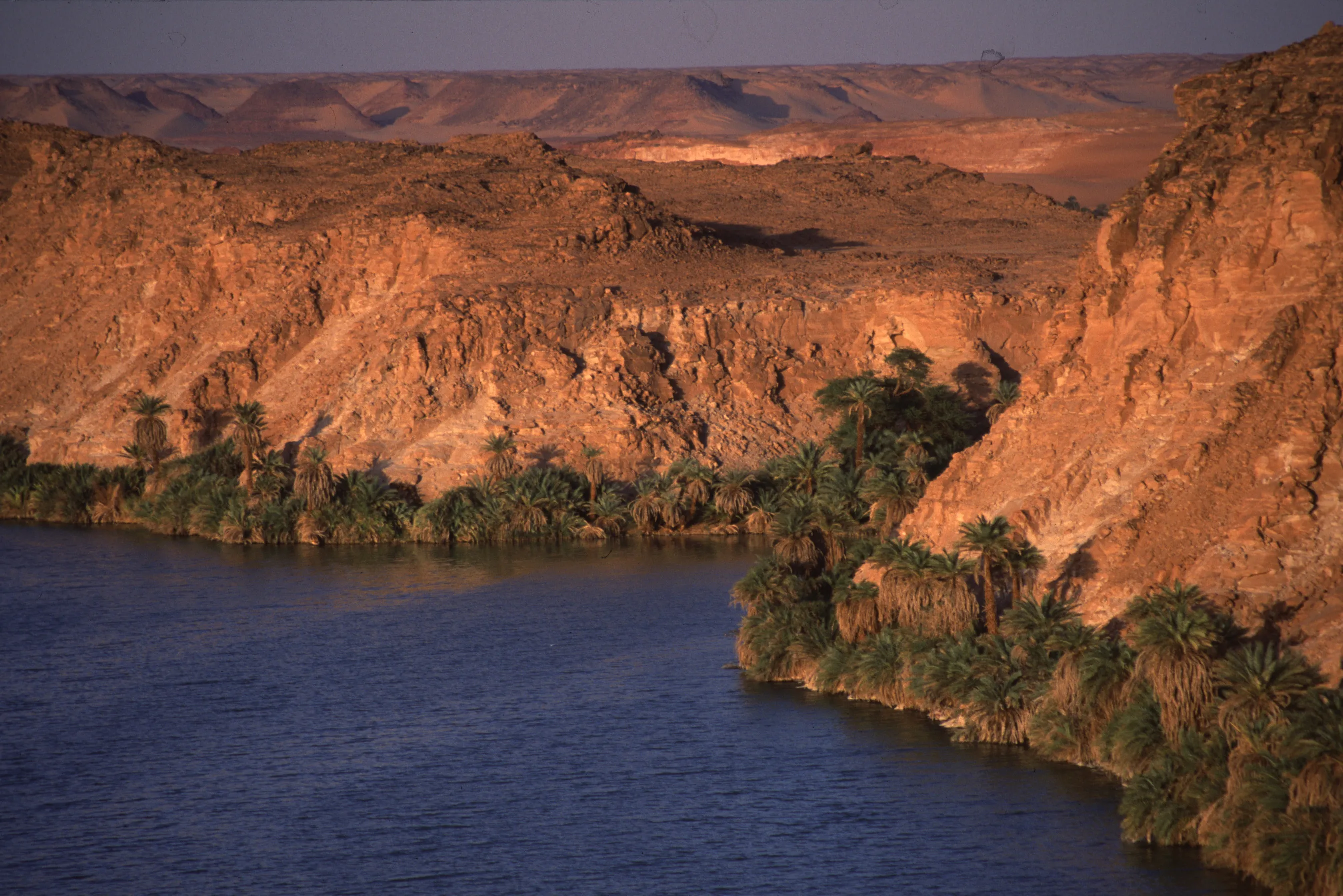 Slider Image 91