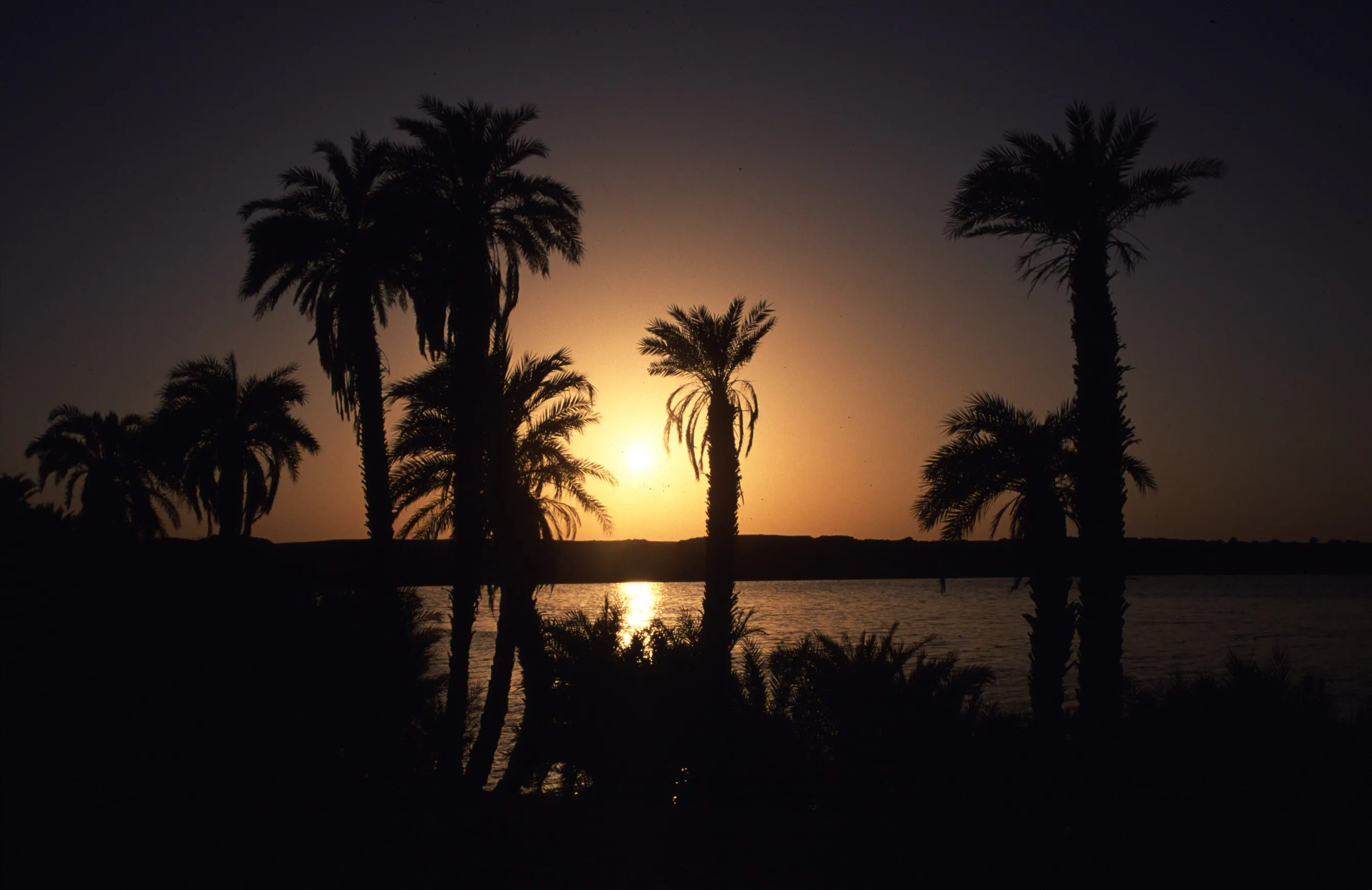 Slider Image 89