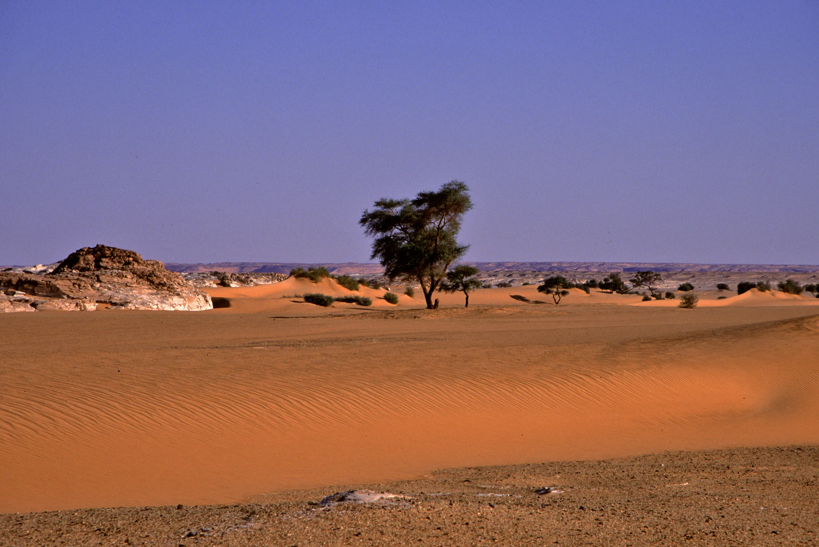 Slider Image 88
