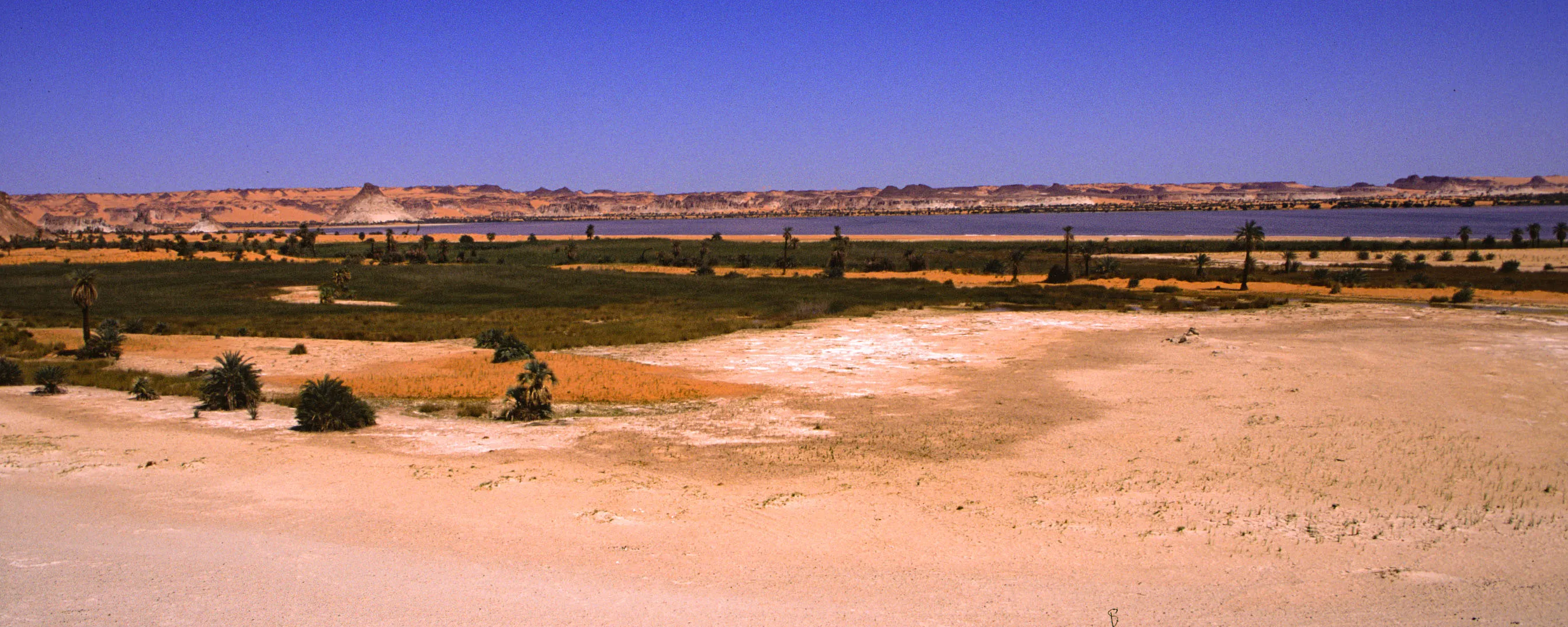 Slider Image 81