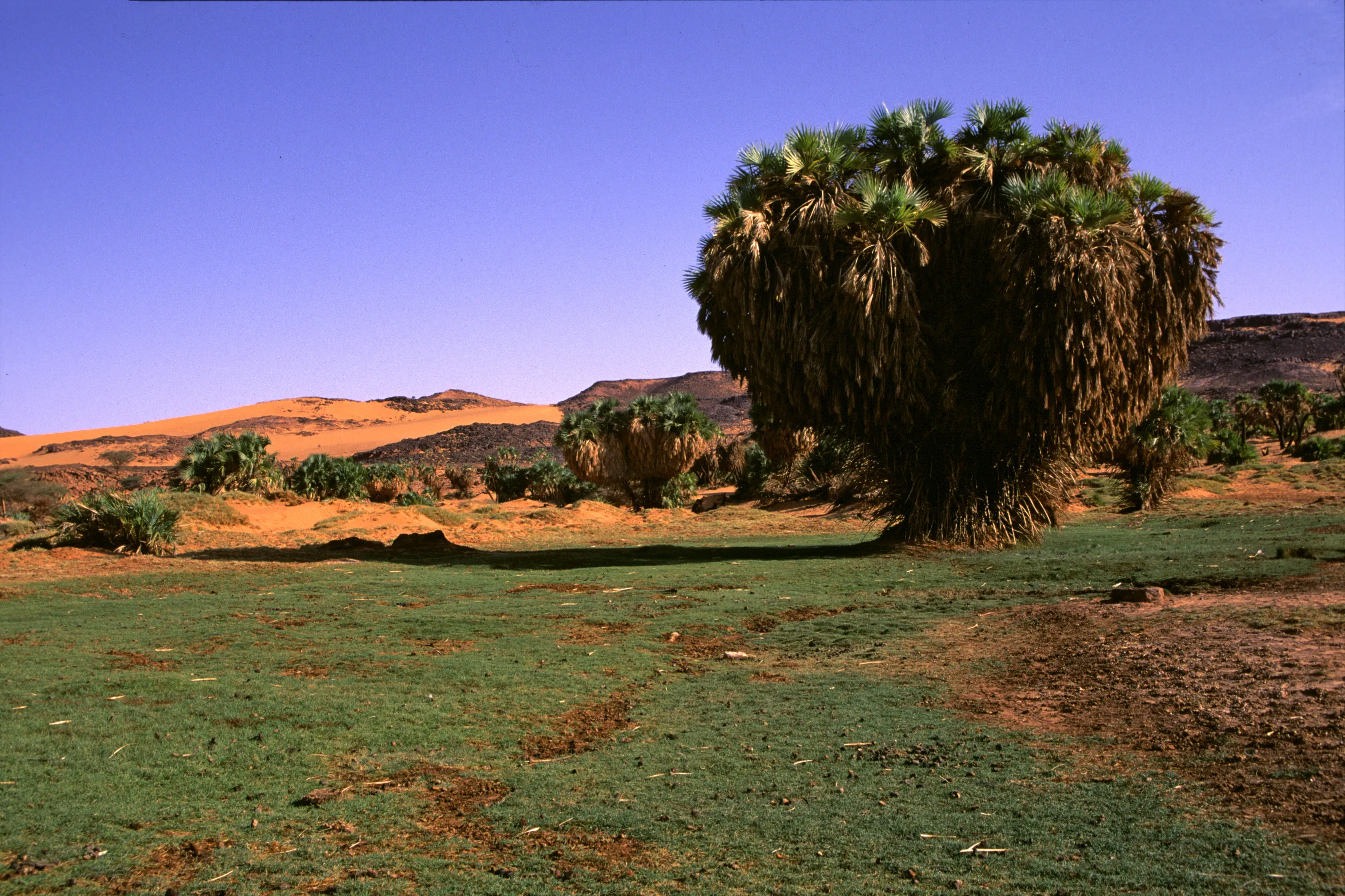 Slider Image 77