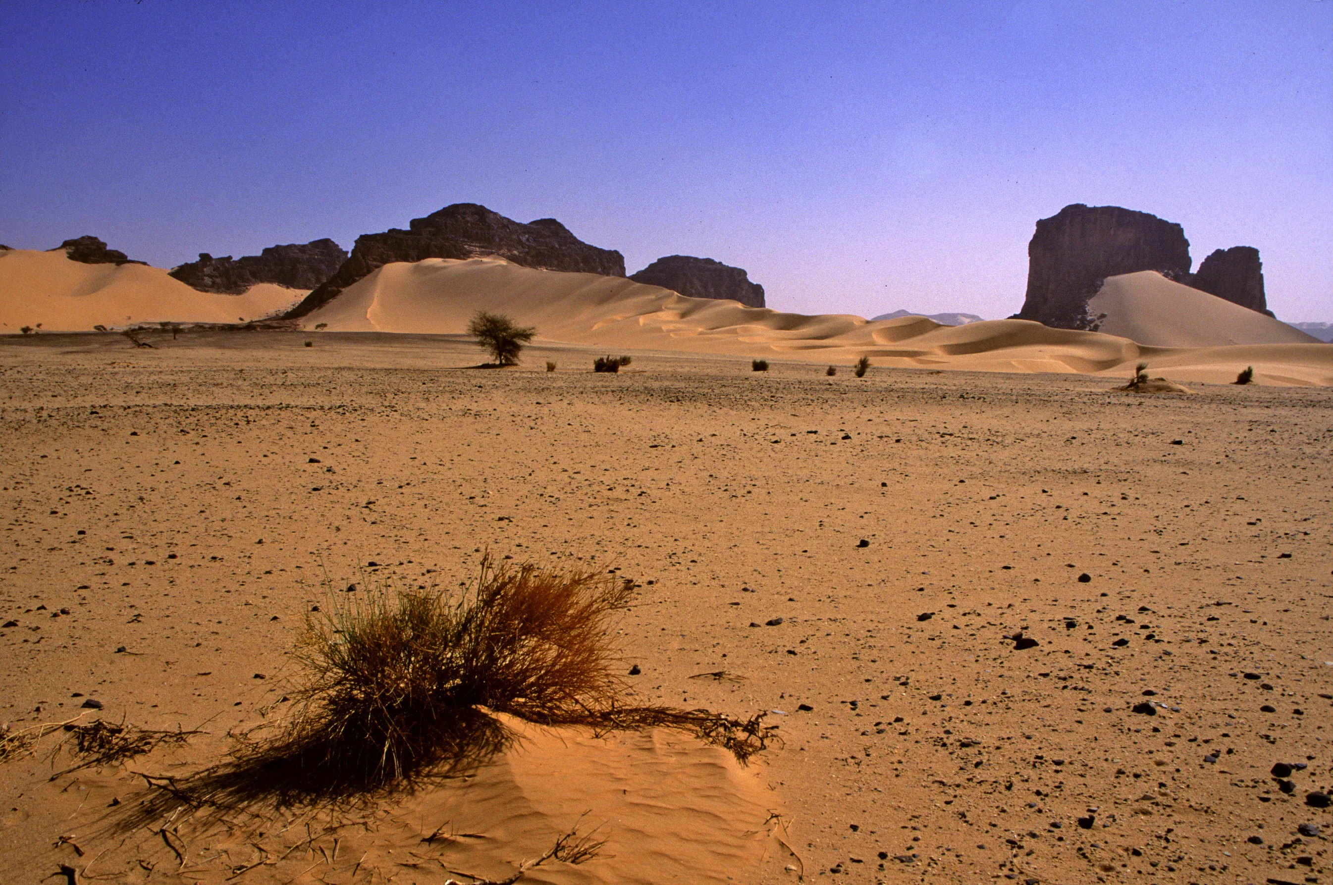 Slider Image 70