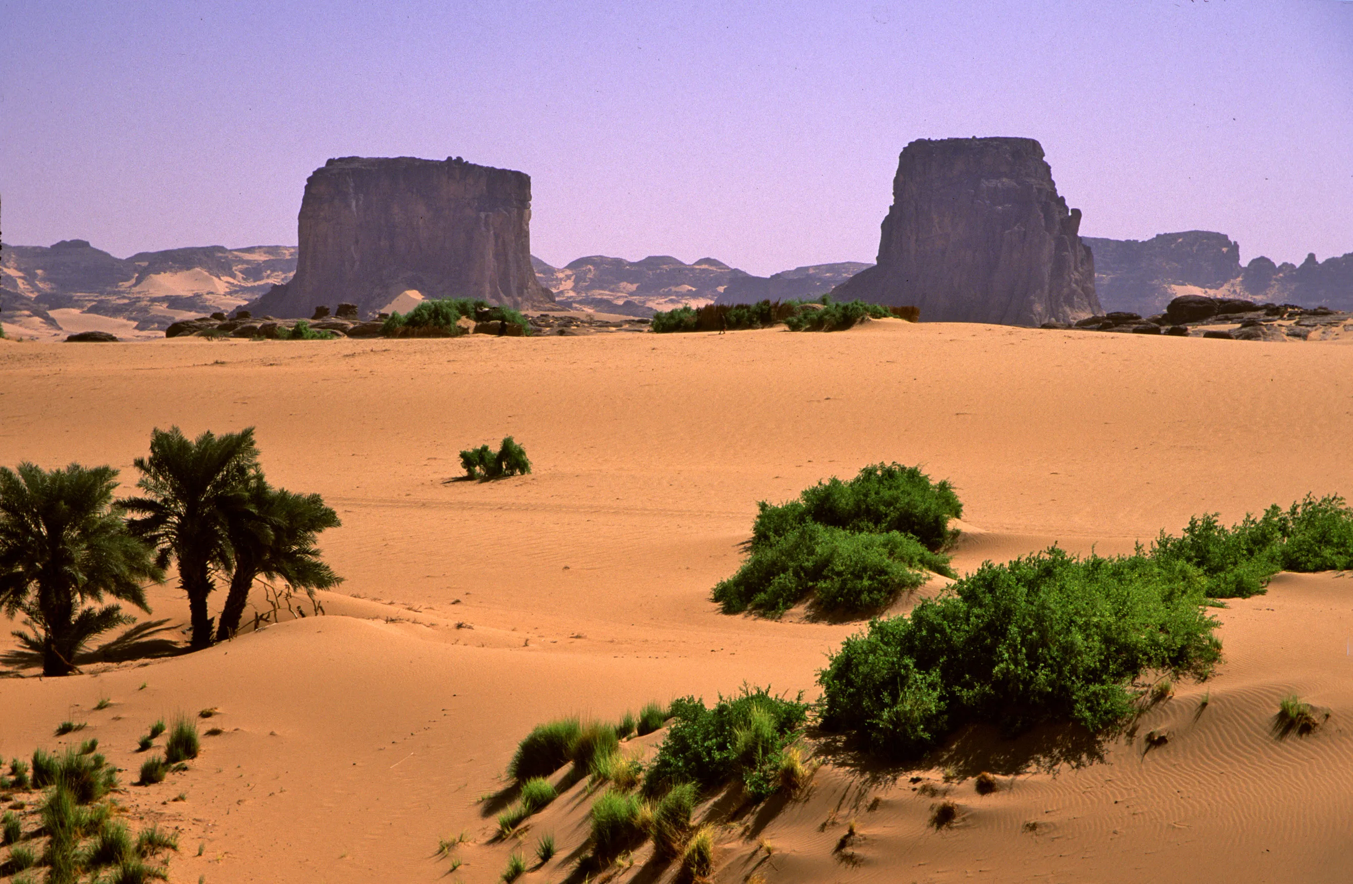 Slider Image 68