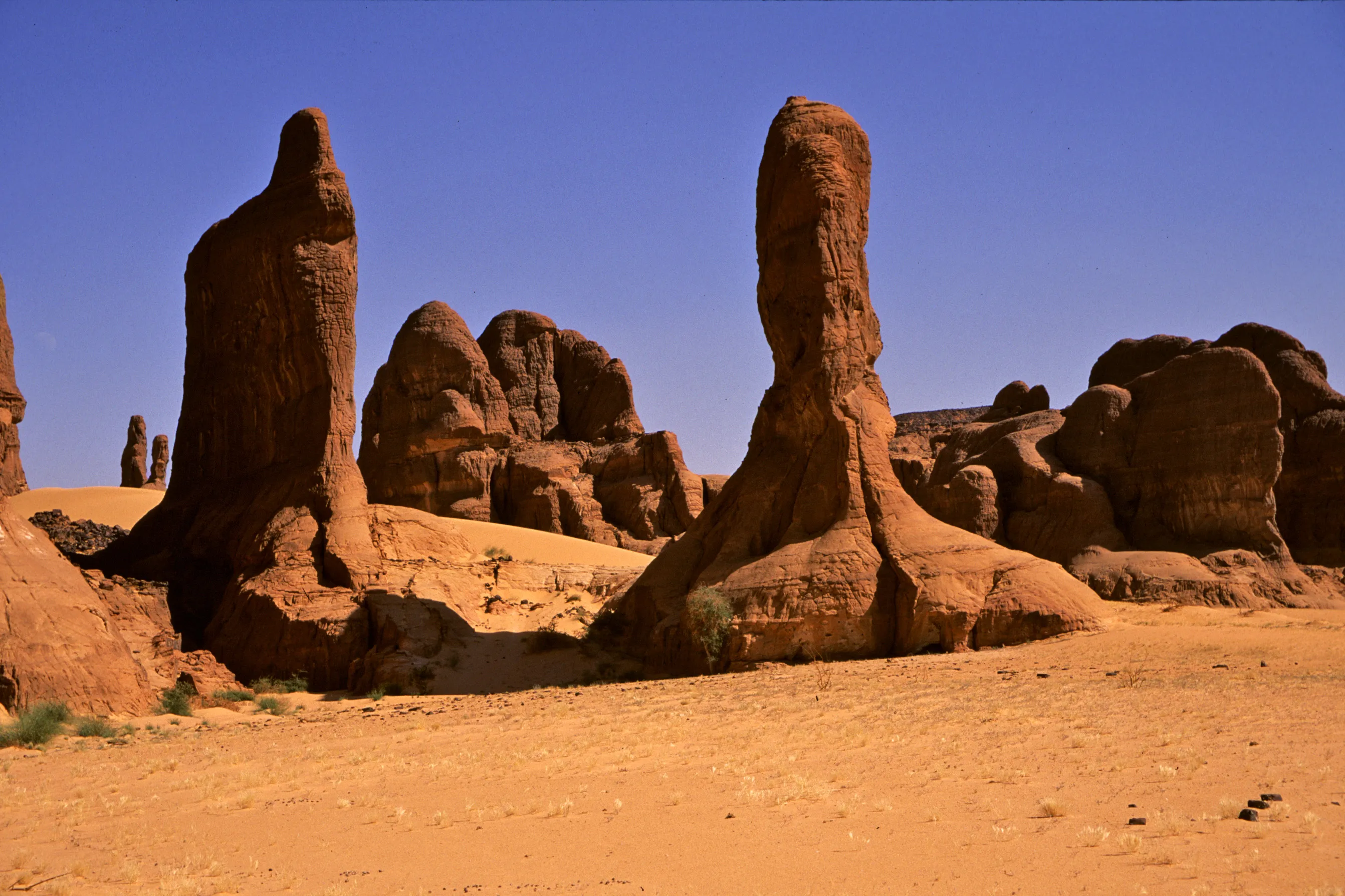 Slider Image 63
