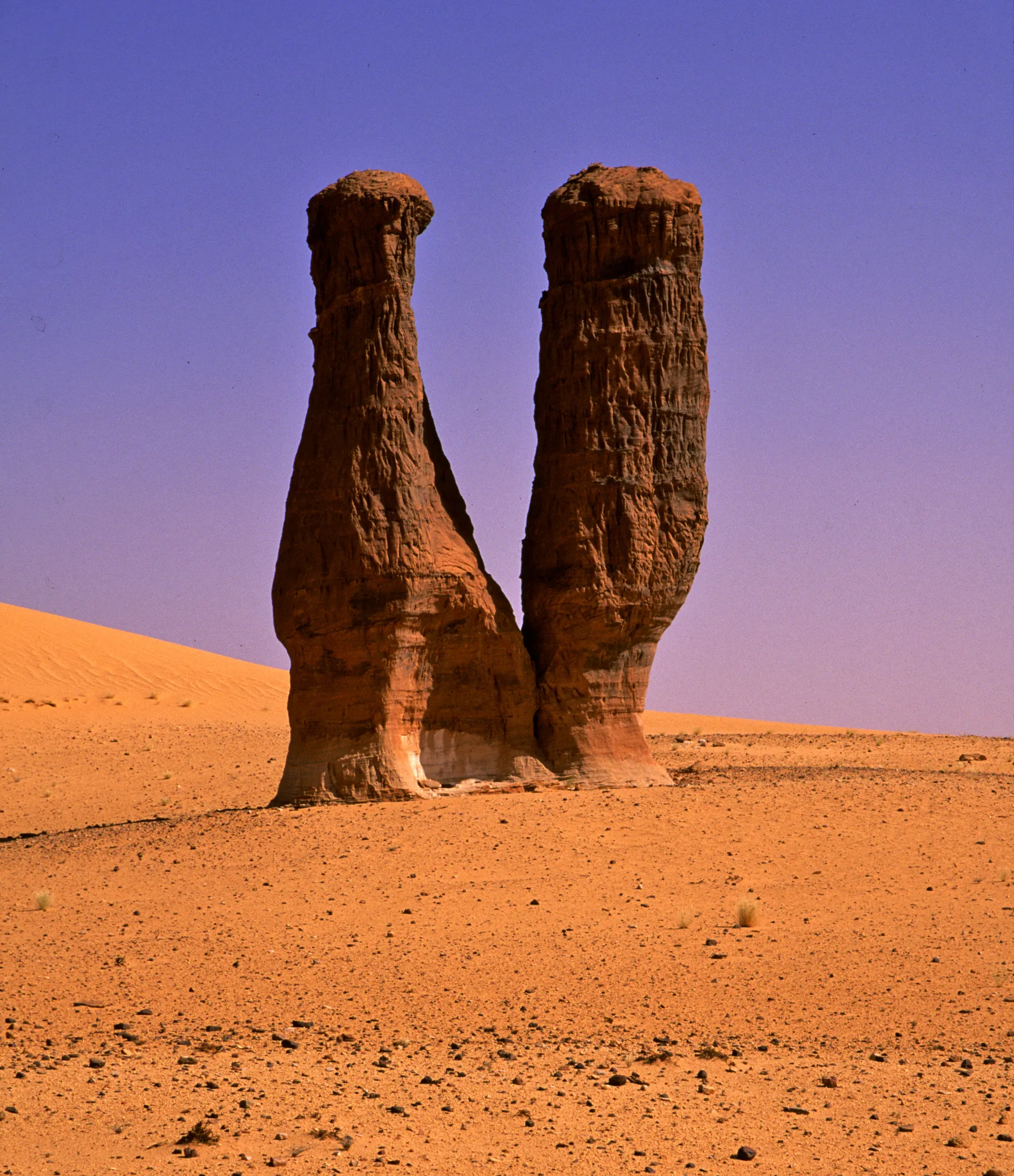 Slider Image 62