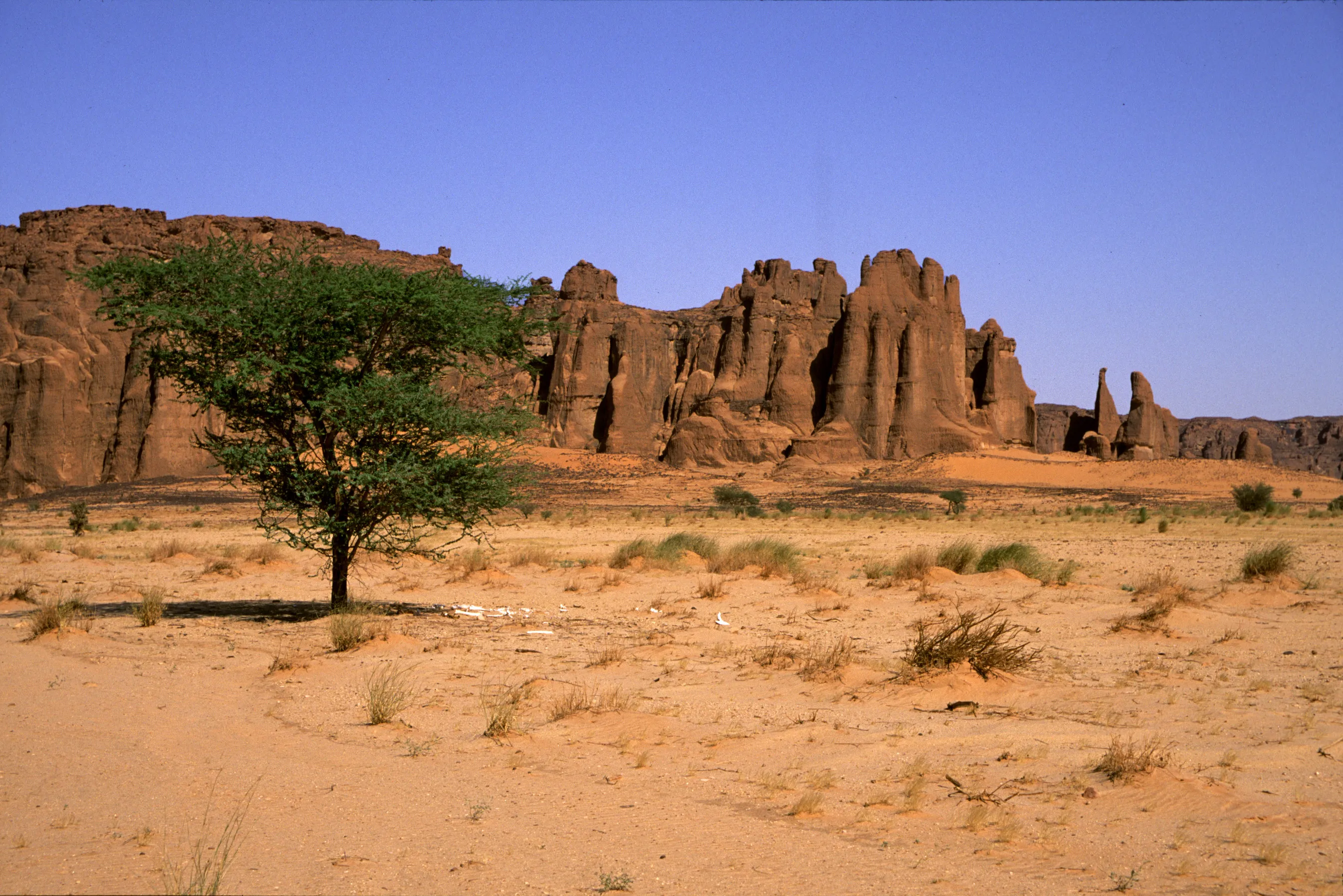 Slider Image 59