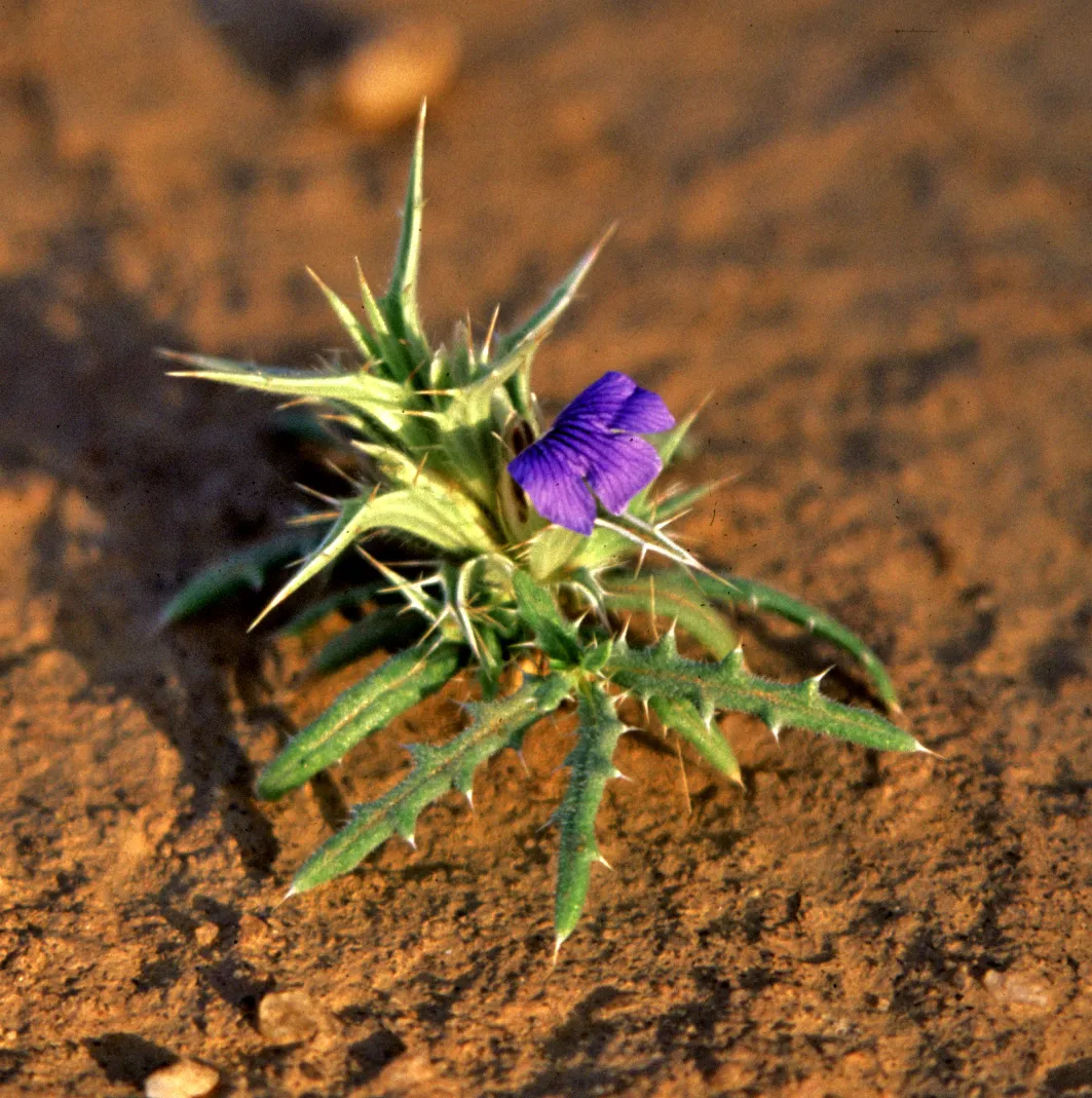 Slider Image 55