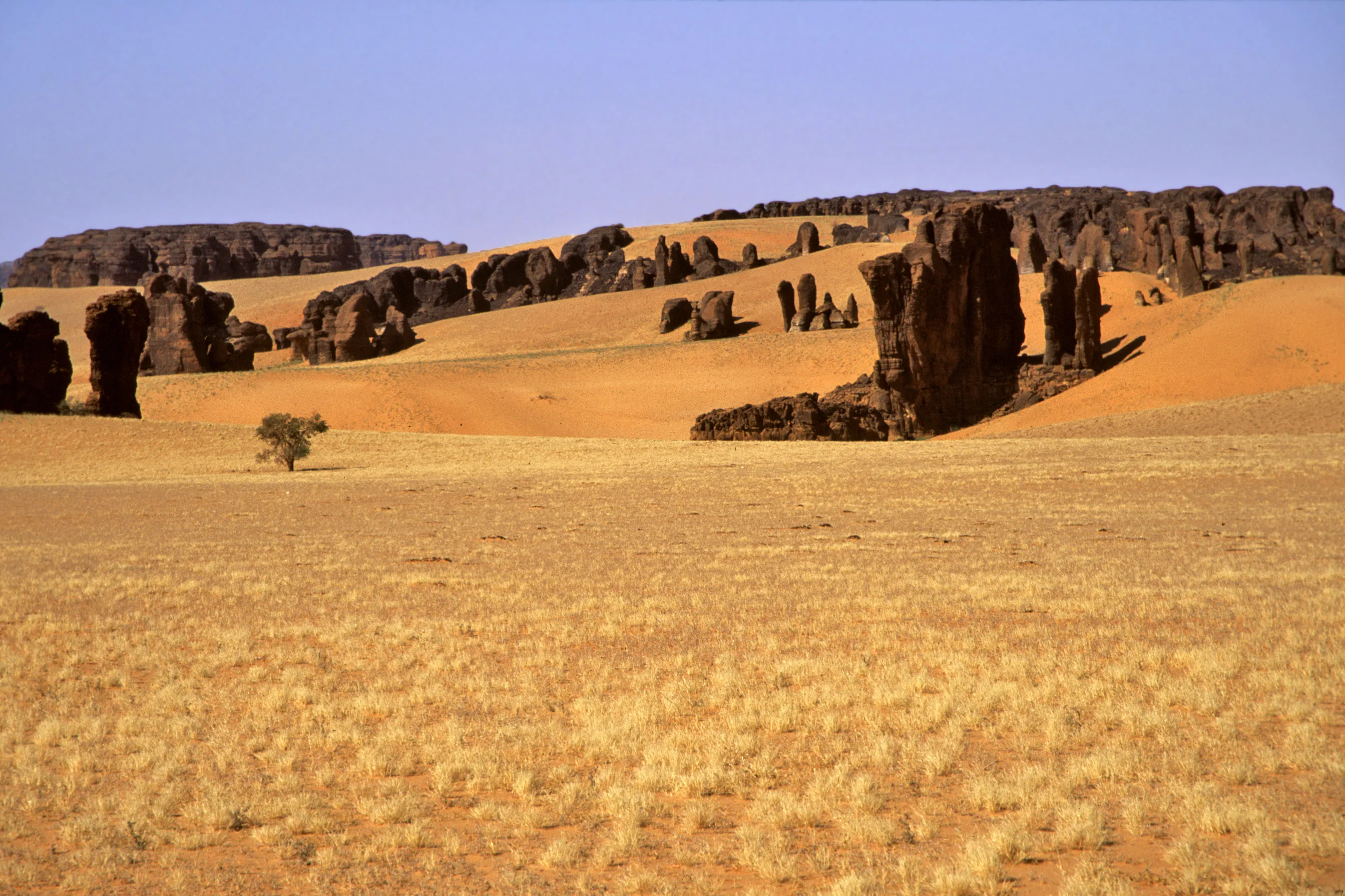 Slider Image 54