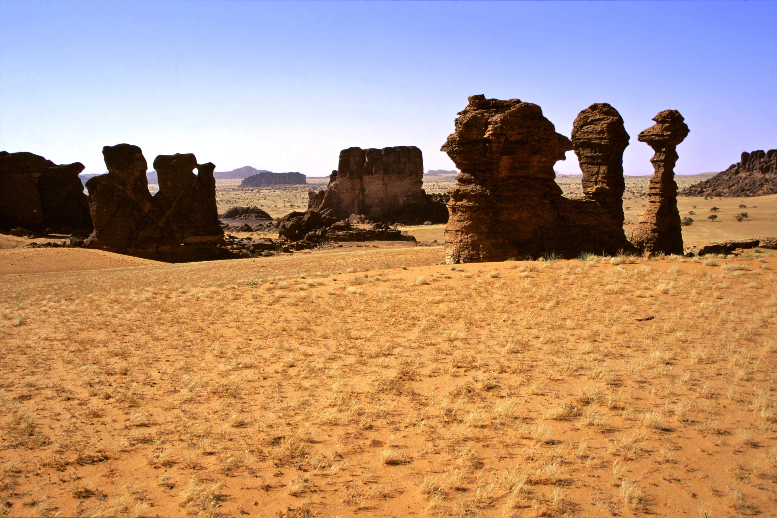 Slider Image 53