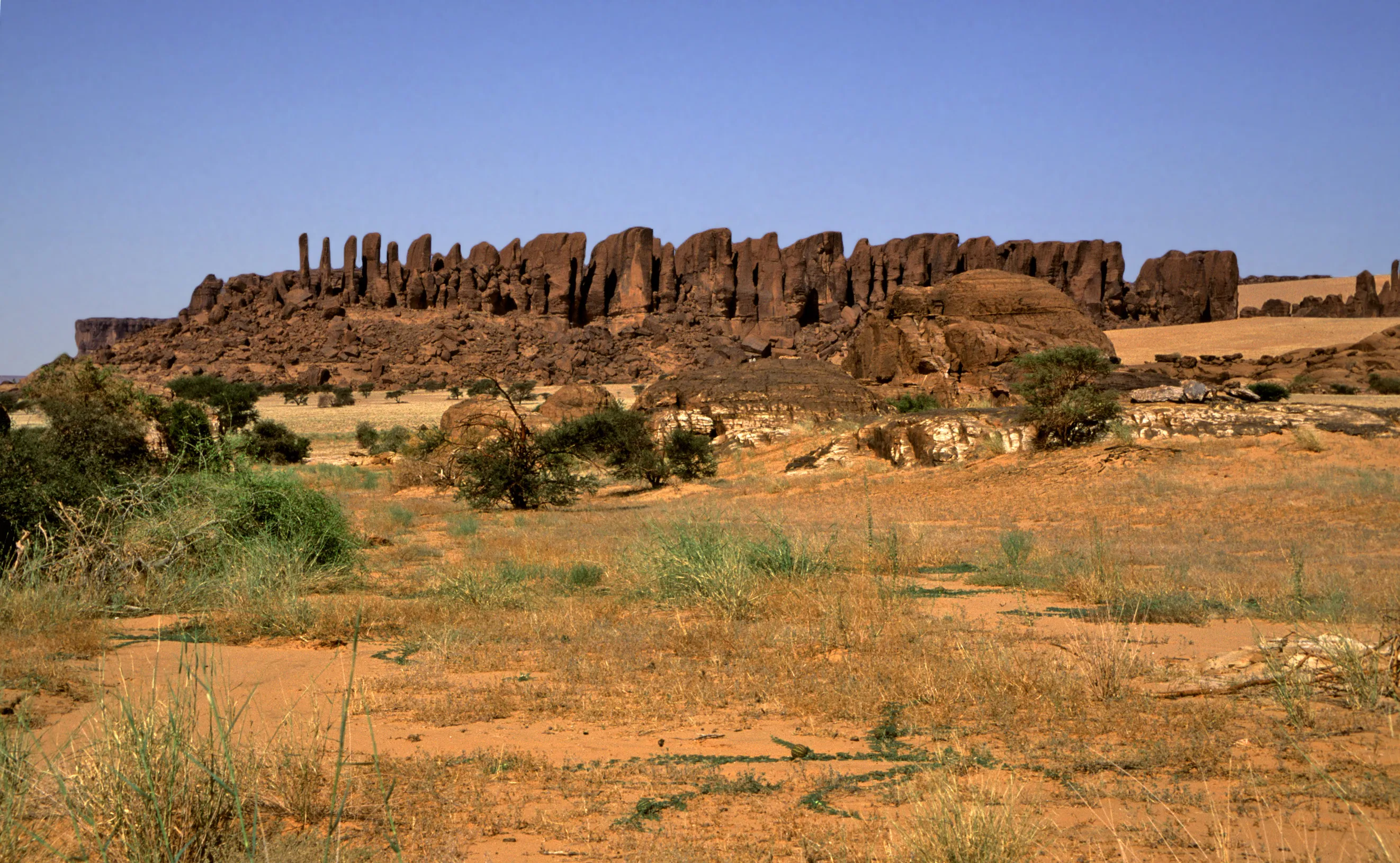 Slider Image 52