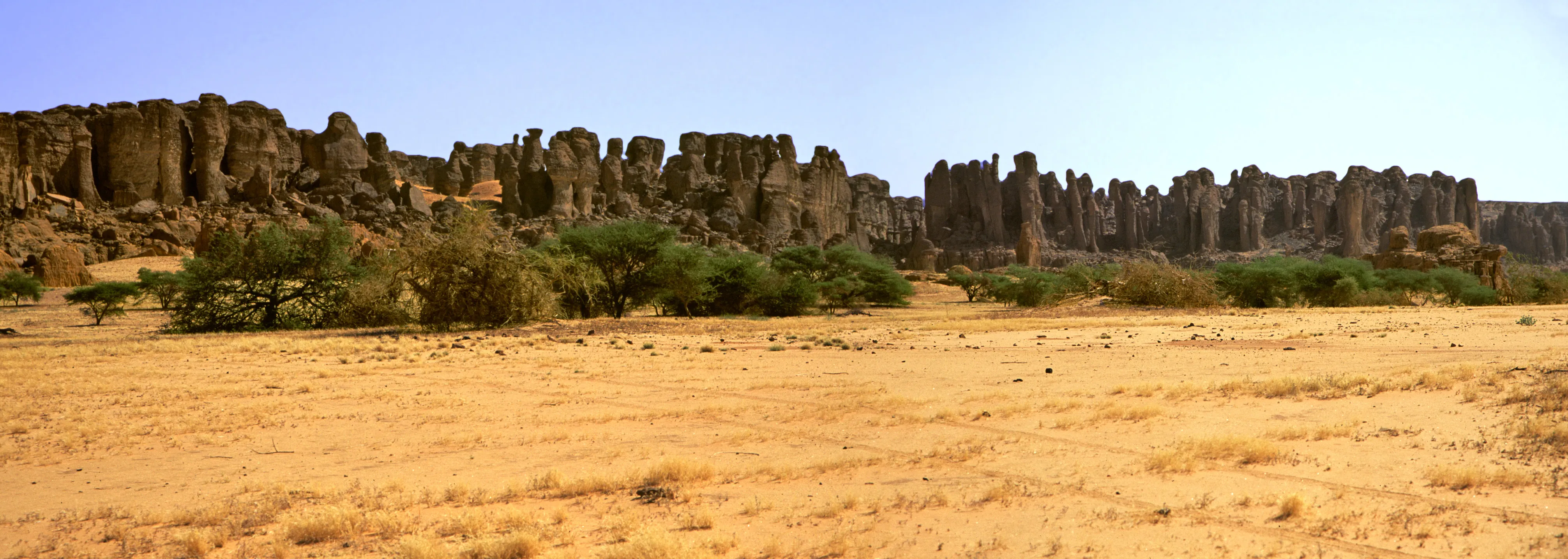 Slider Image 50