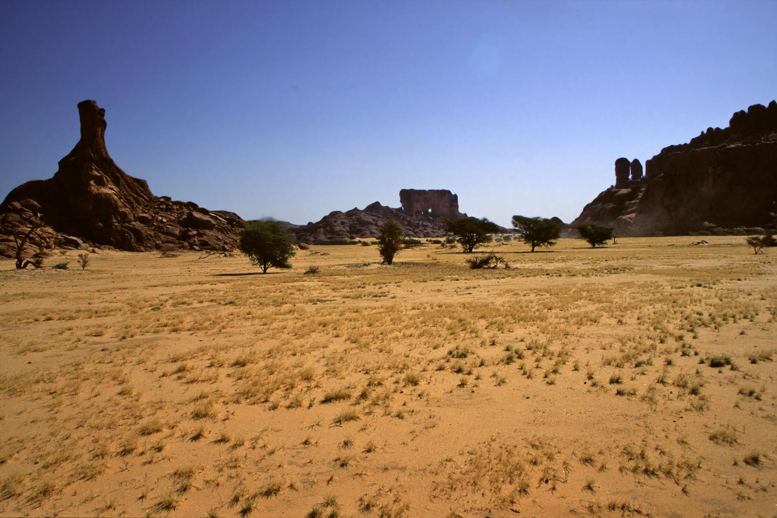 Slider Image 49