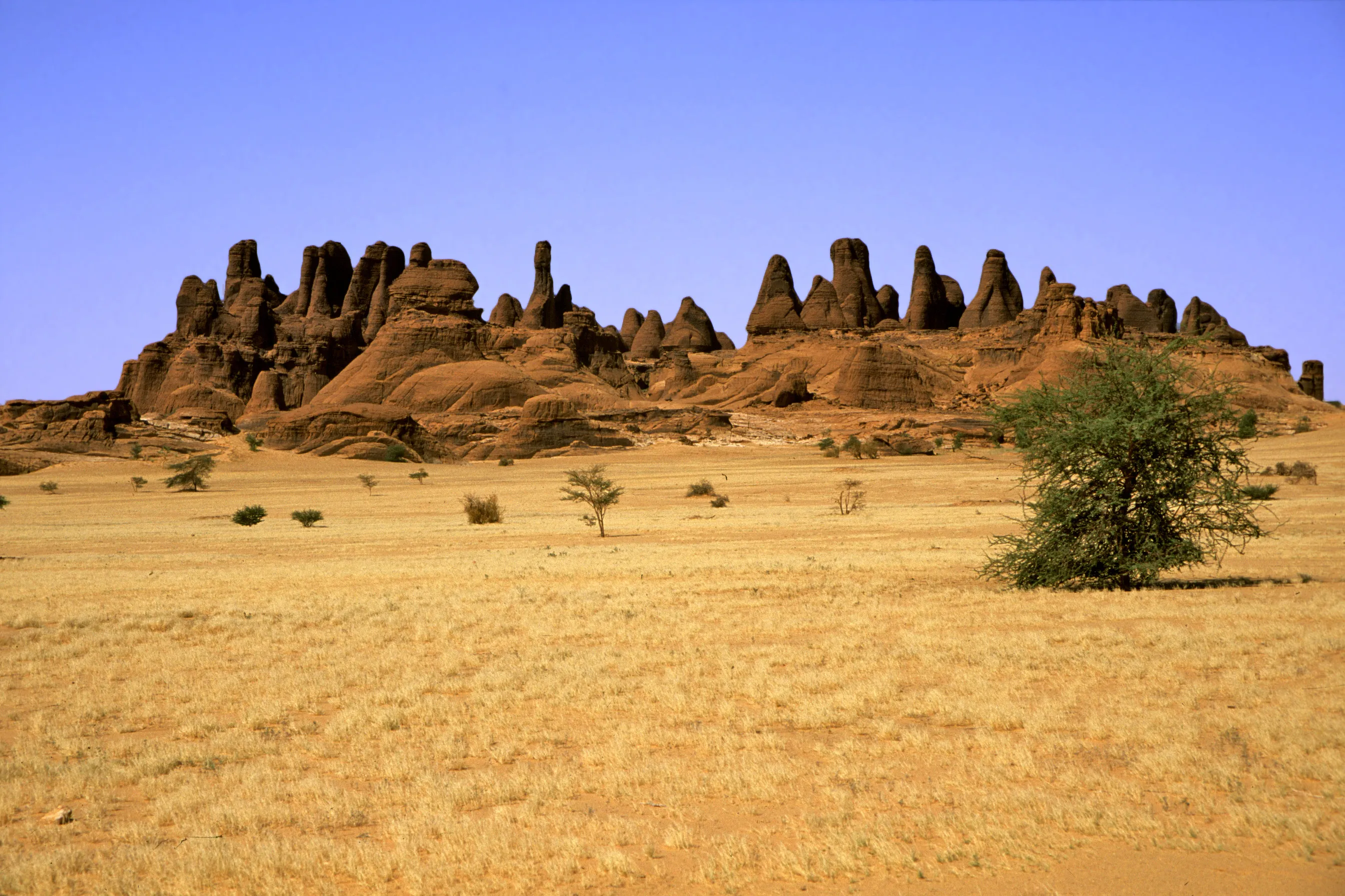 Slider Image 48