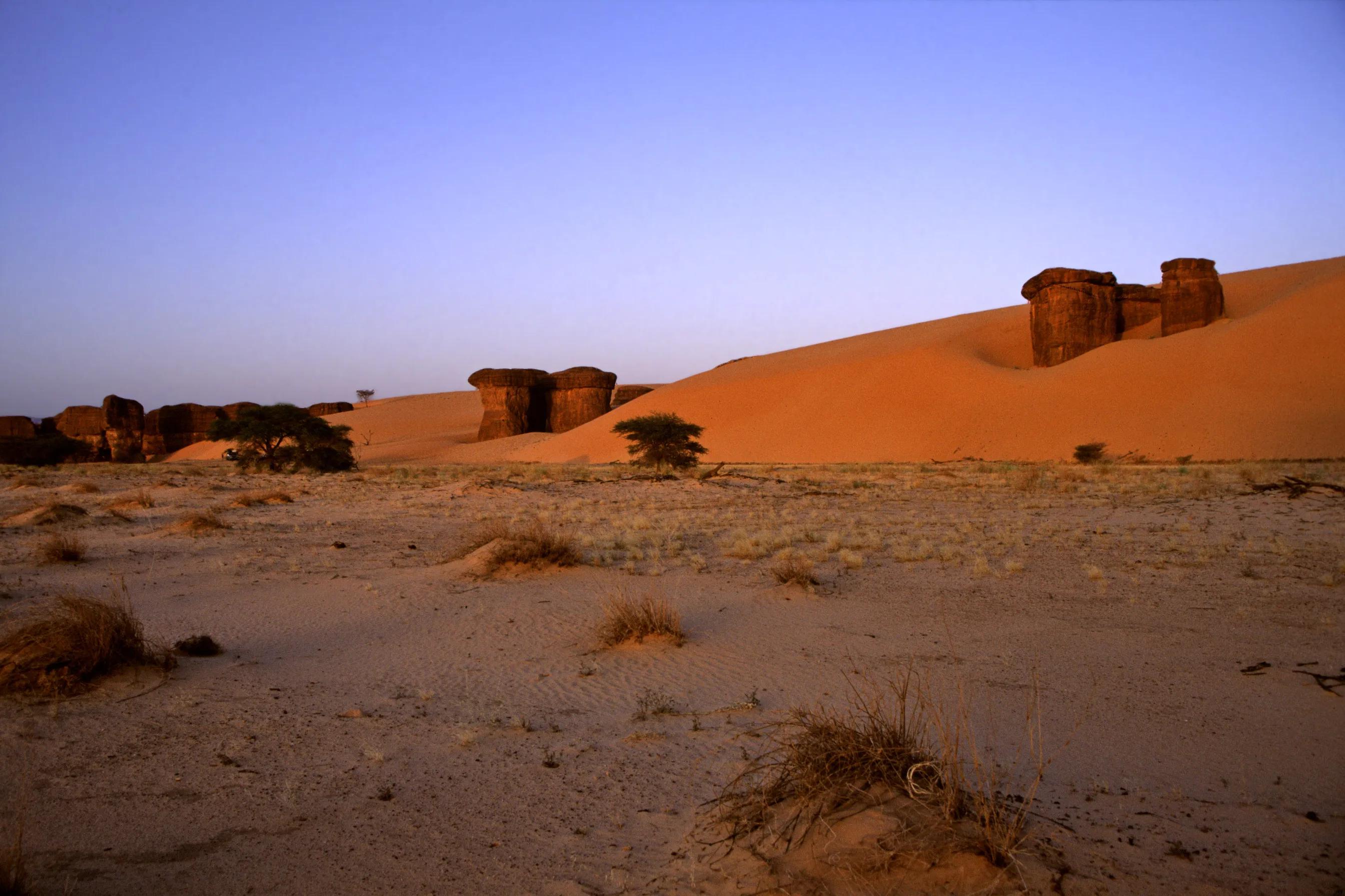 Slider Image 41