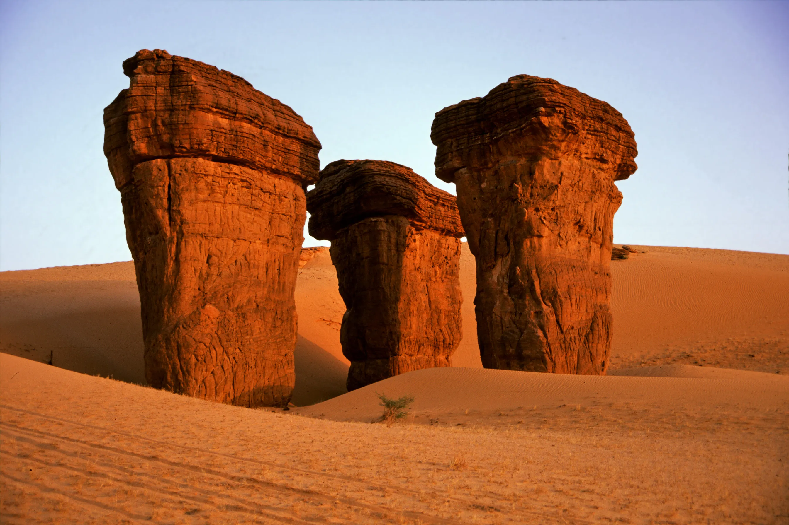 Slider Image 39