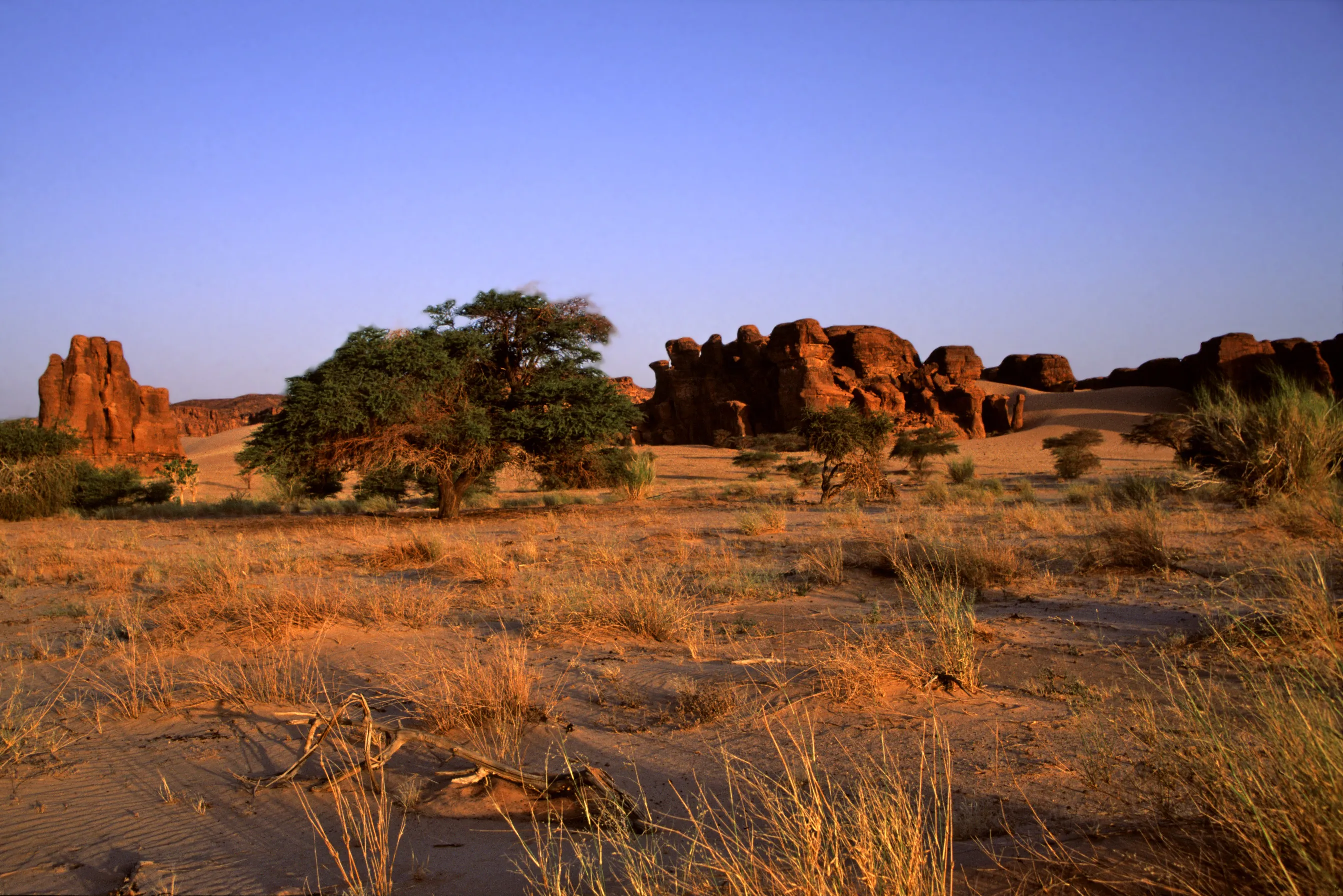 Slider Image 37