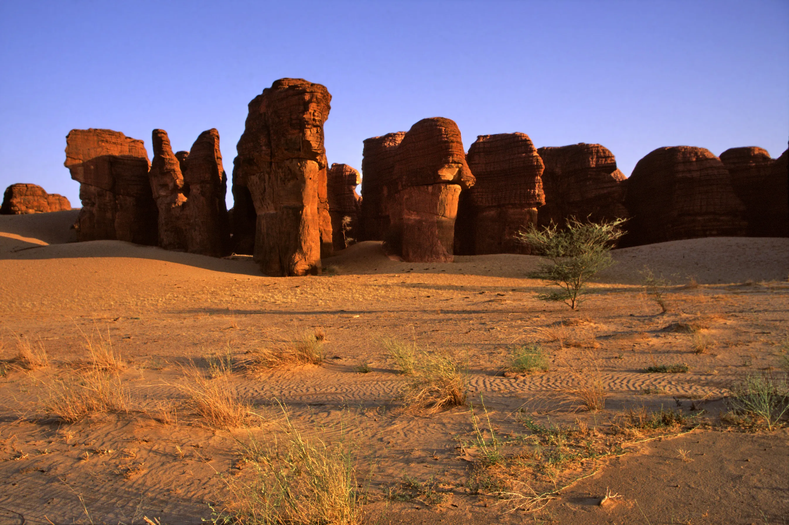Slider Image 36