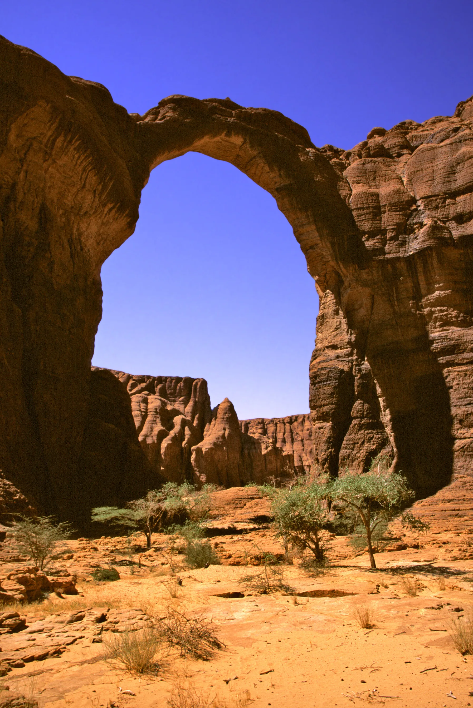 Slider Image 19