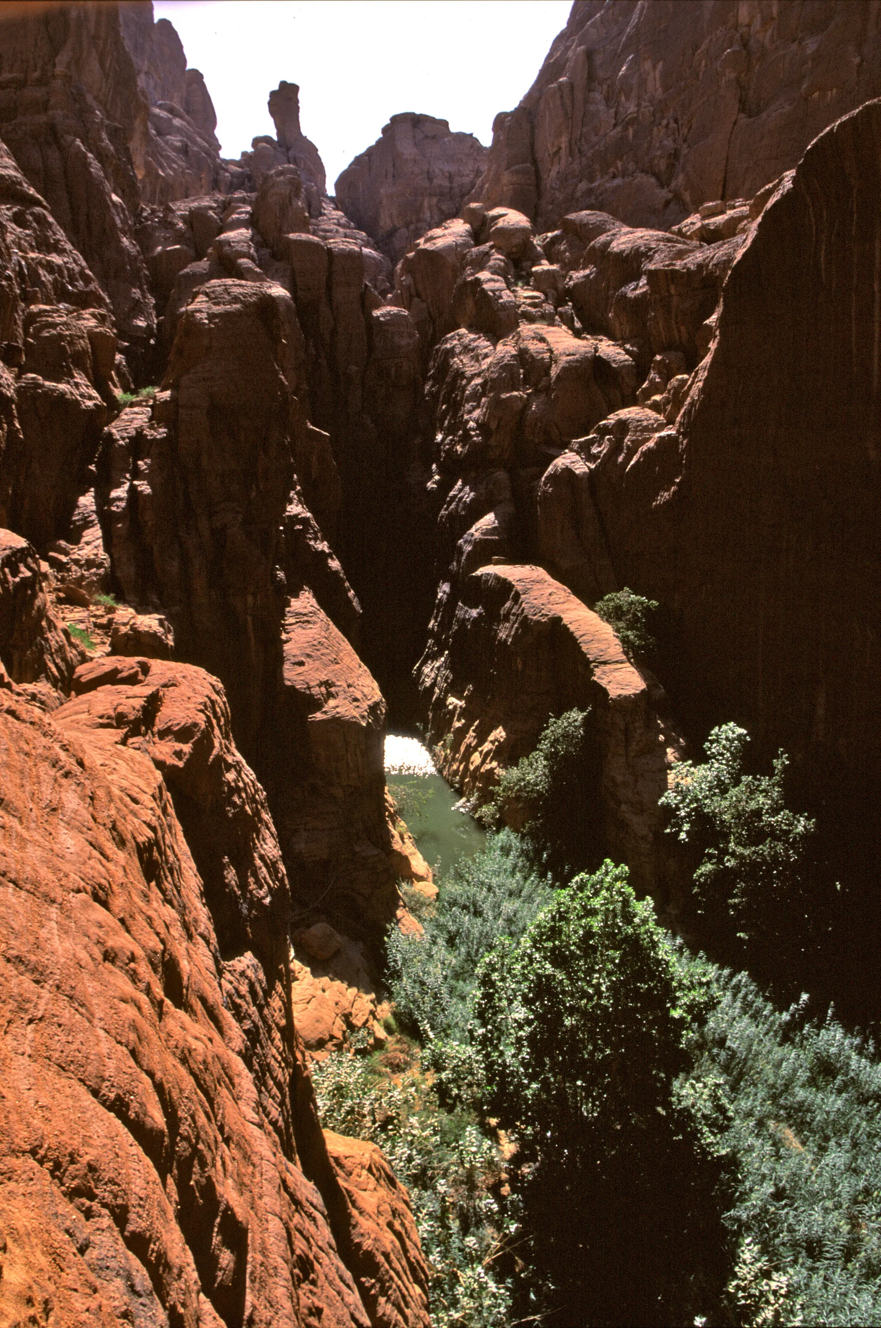 Slider Image 9