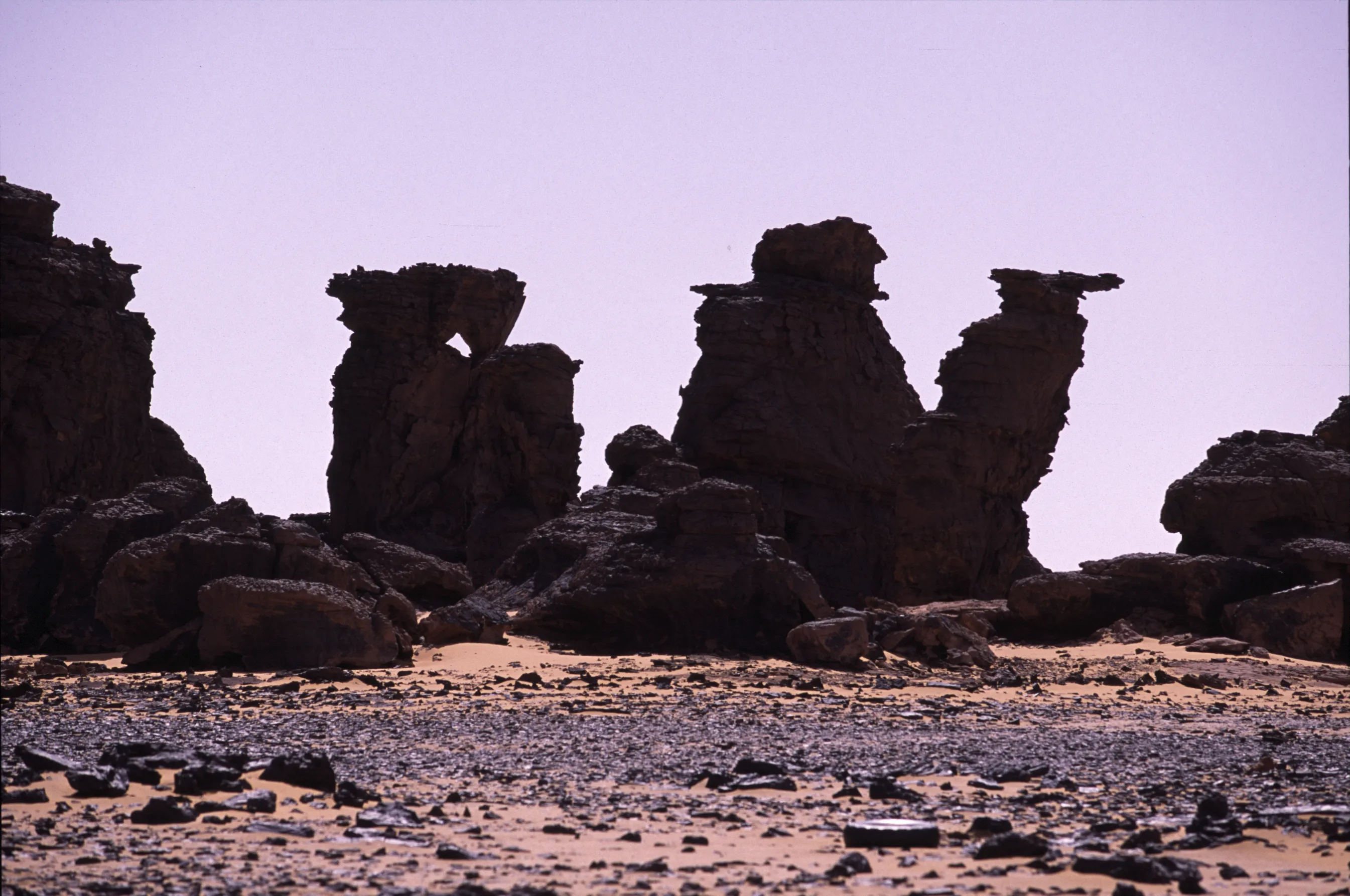 dans El Ouar