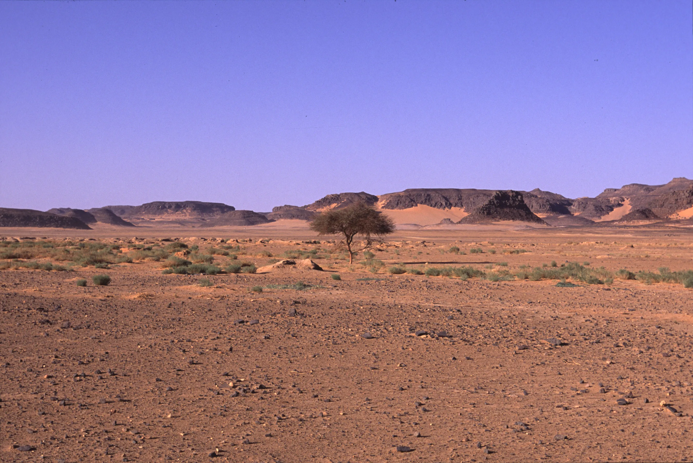 aval de l'Enneri Blaka