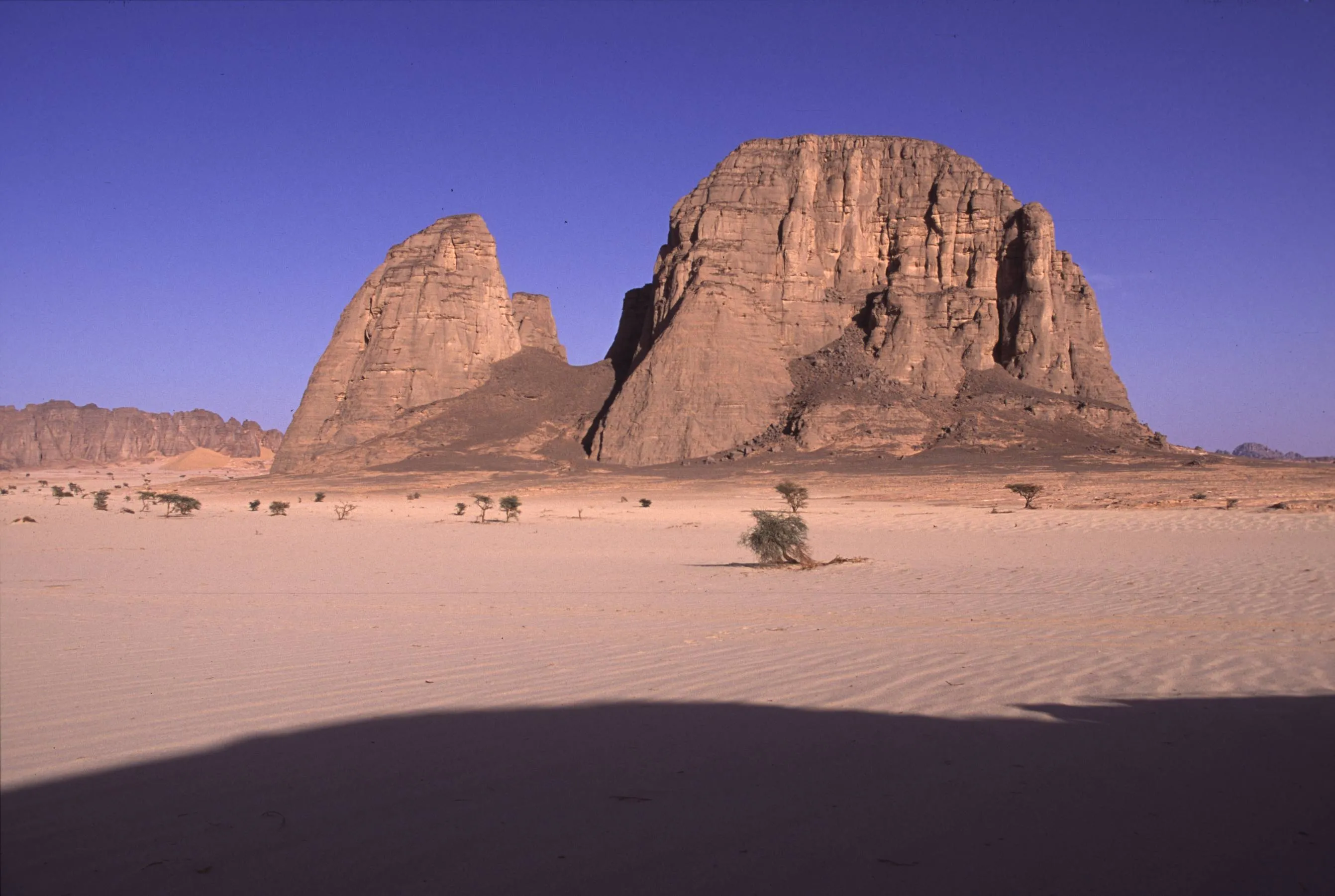 Ouarek