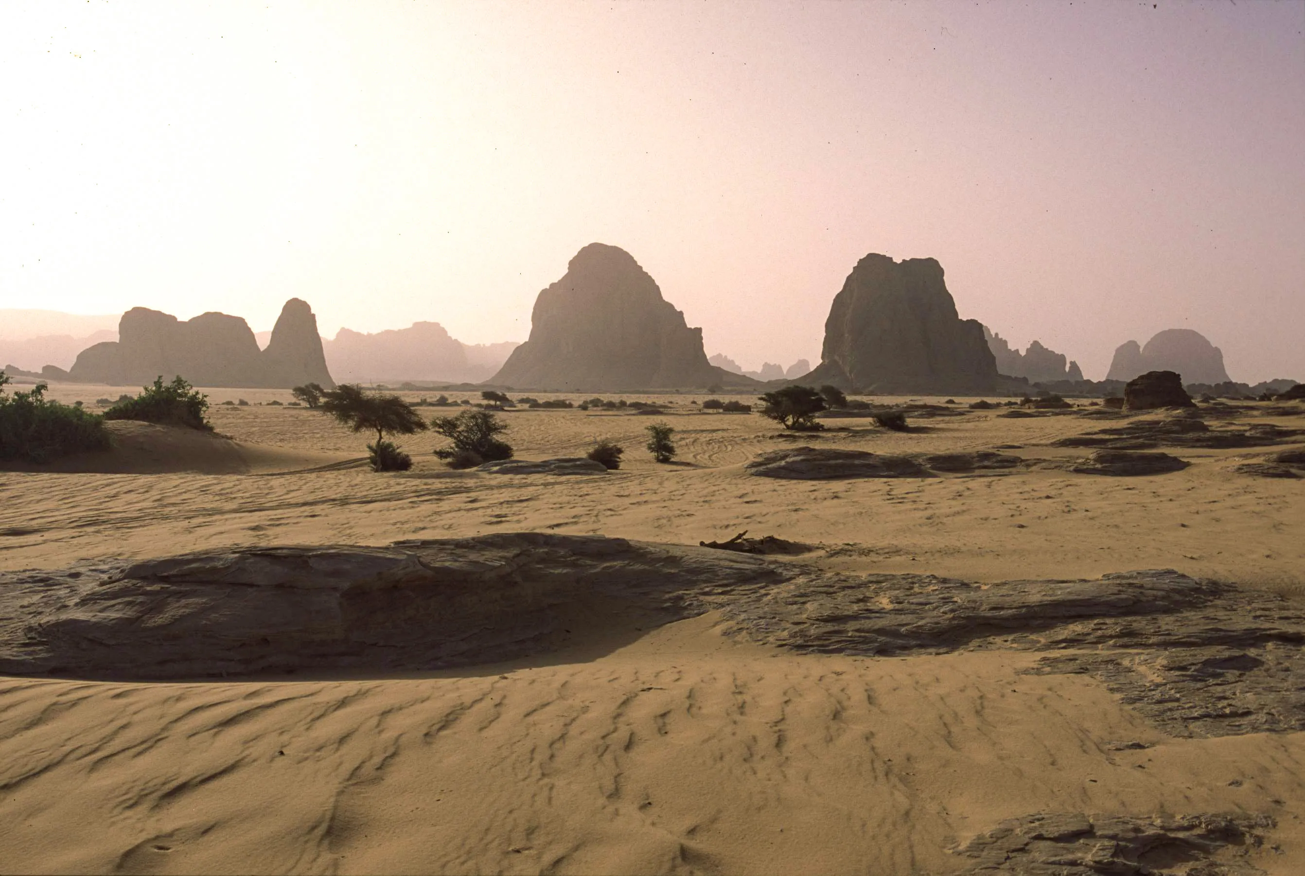 plateau du Djado